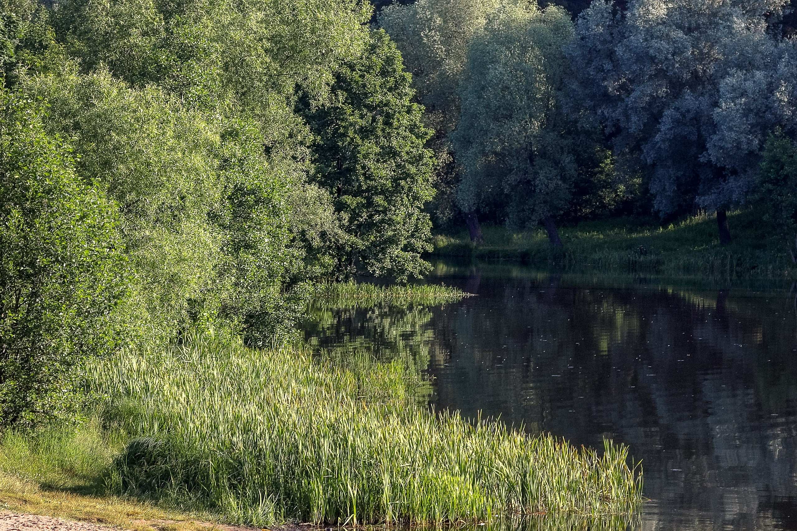 Летнее озеро Кратово