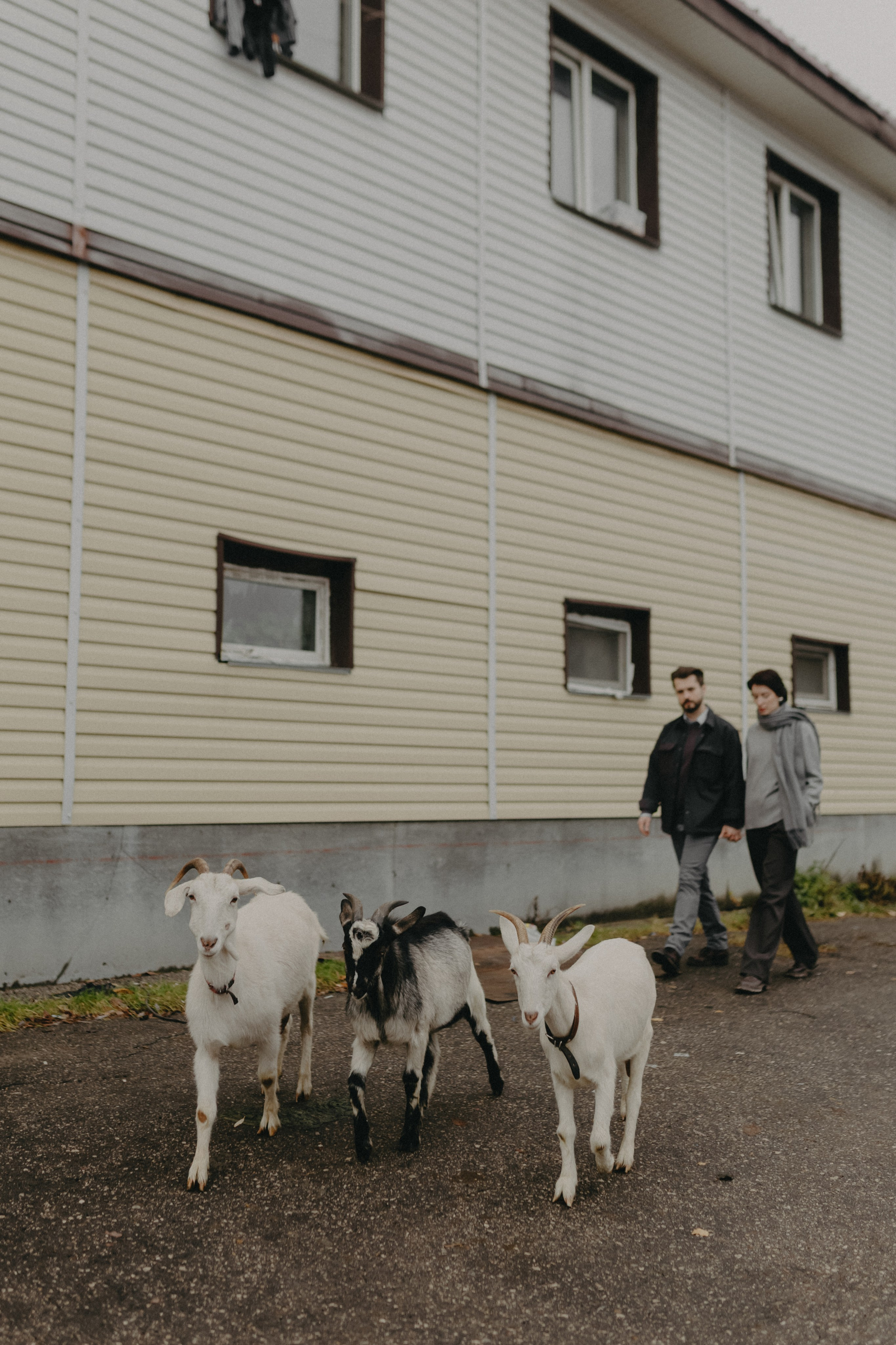 Диана и Антон. Свадебный и семейный фотограф Женя Добрянская в Нижнем Новгороде