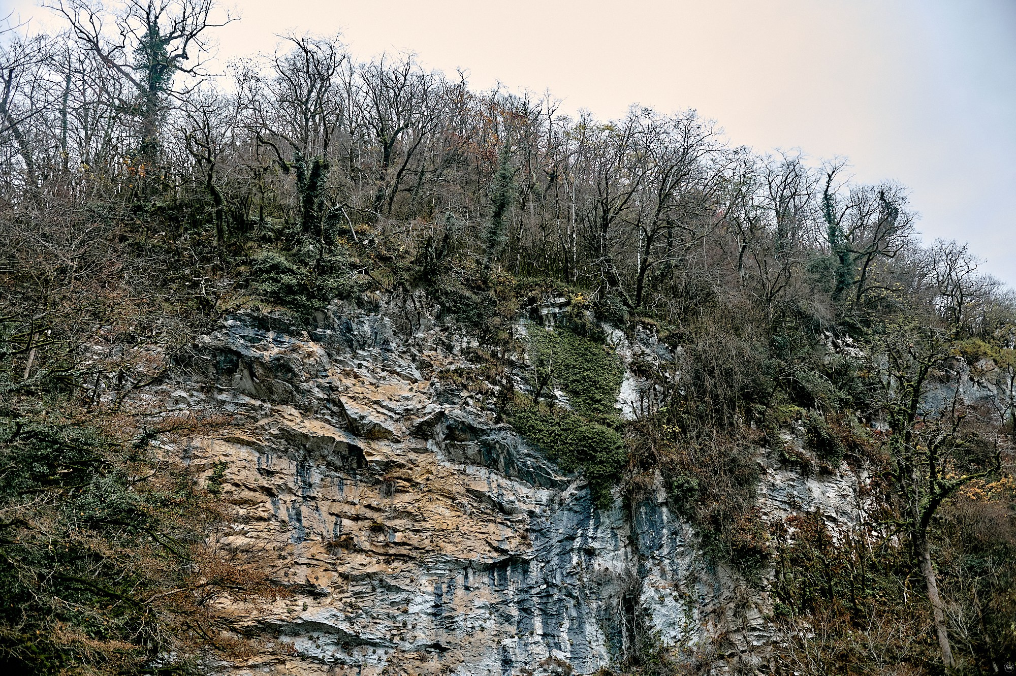 Озеро Рица, Абхазия. Декабрь 2024. Фотографии отовсюду и обо всем