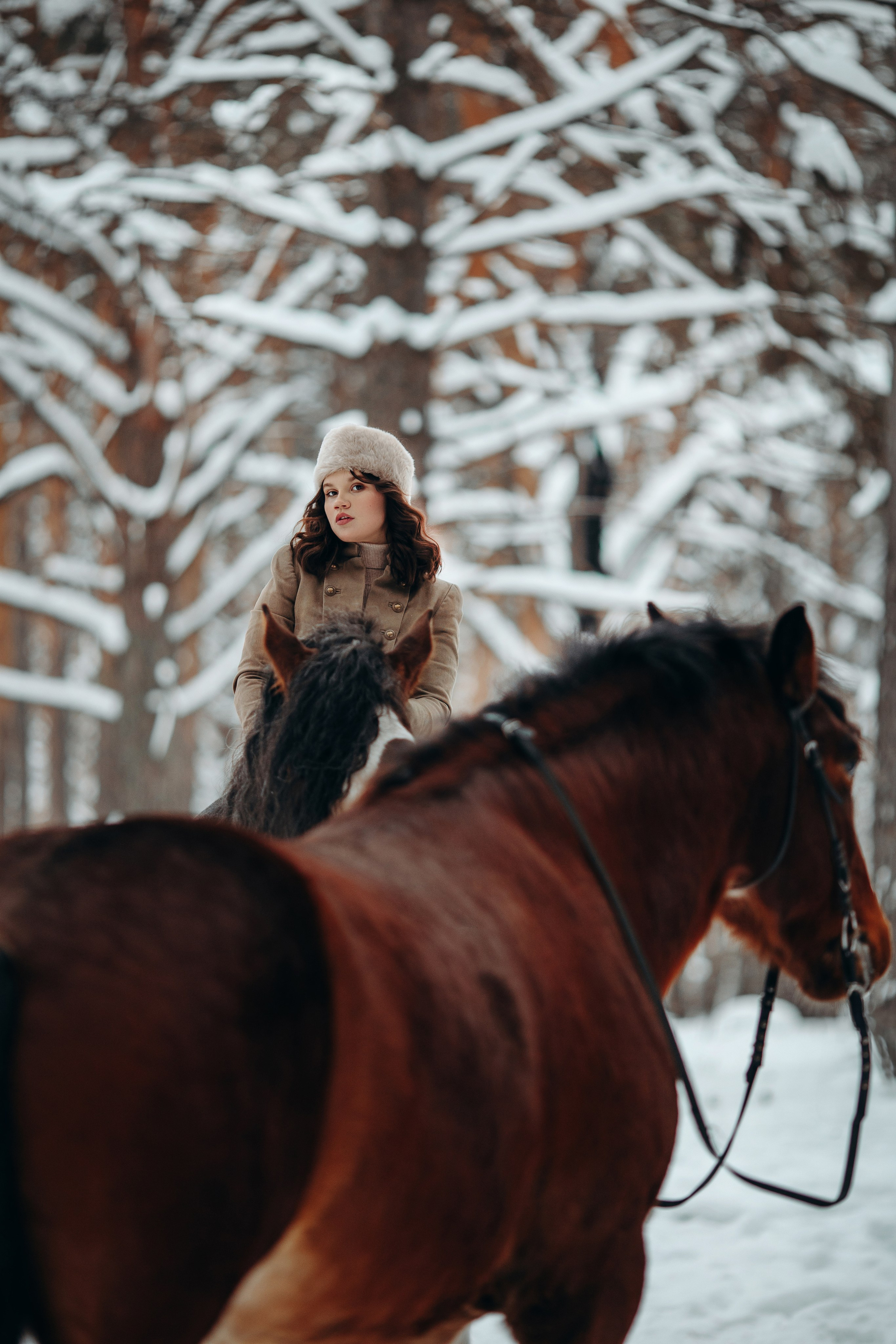 Аня и два тяжика (Малыш и Спартак). Анна Молчанова конный фотограф в Тюмени | фотосессии с лошадьми Тюмень