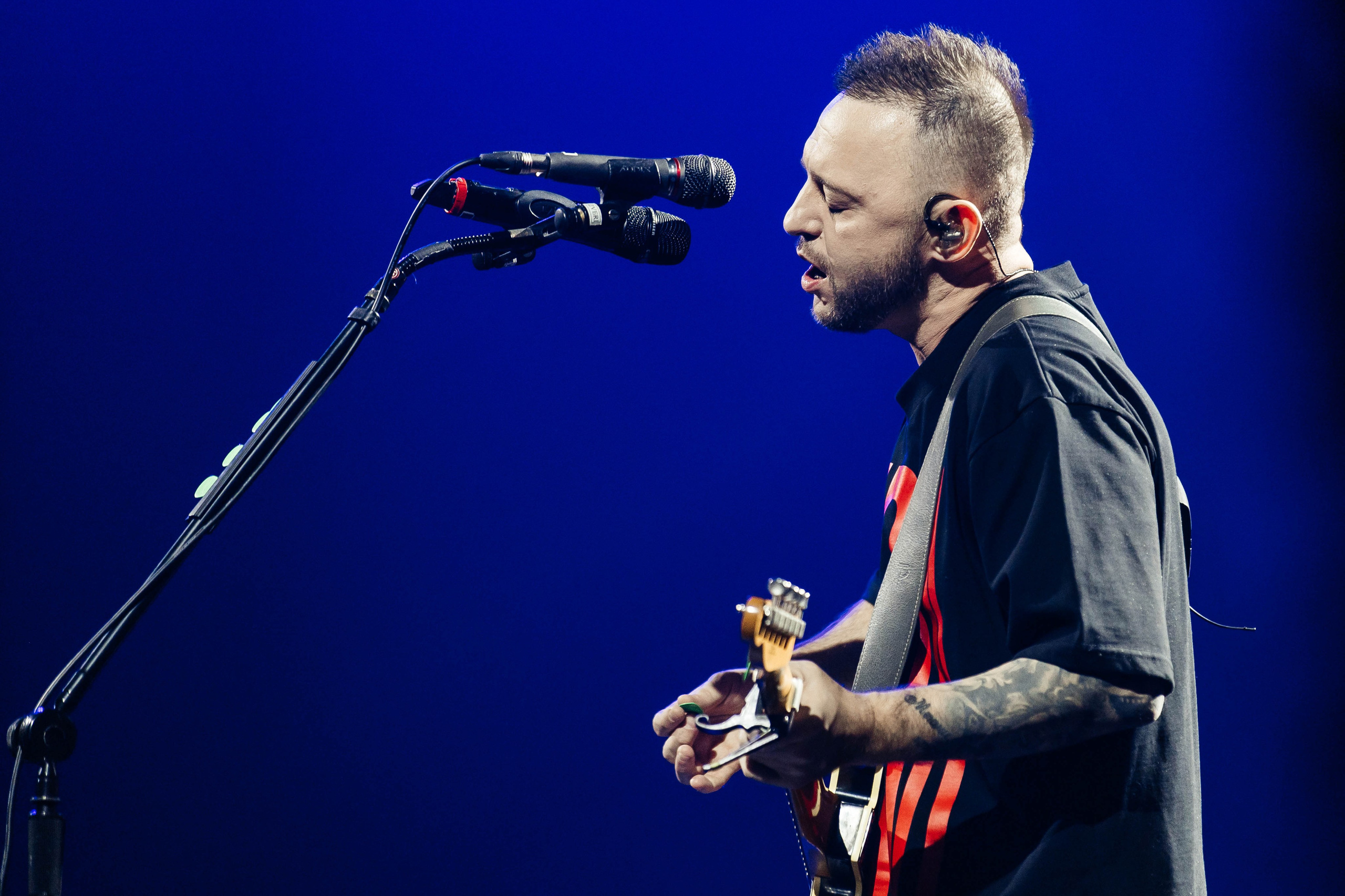 Звери. _Carpe diem_