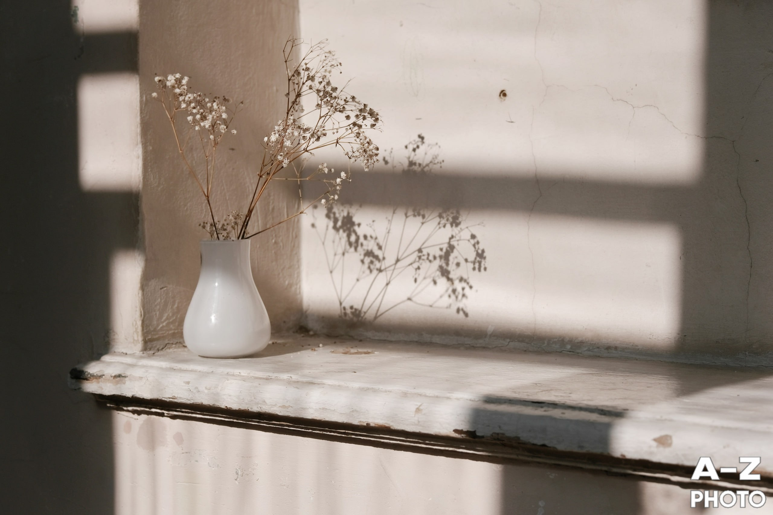 #ФОТОНЕДЕЛИ 23.03.2026. Женский семейный фотограф Тула Москва Захарова Анна