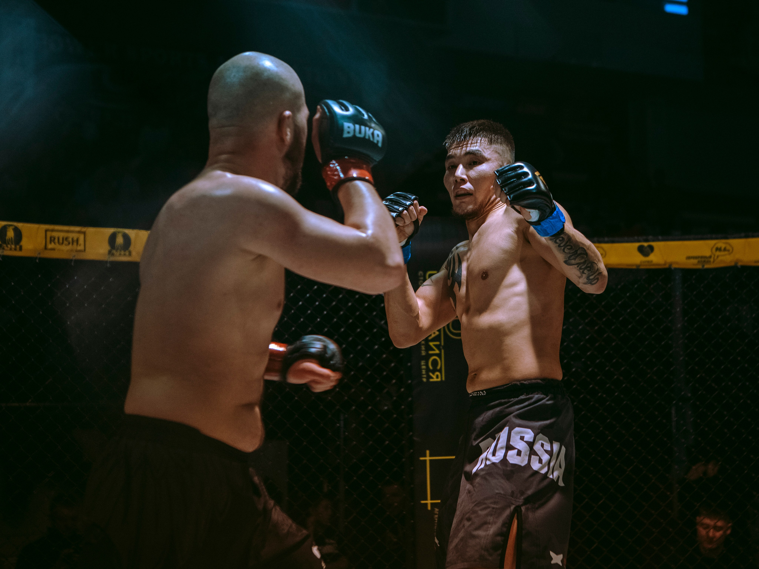 SFL 17 | Siberian Fighting League. Портретный фотограф в Москве Дарья Цезария