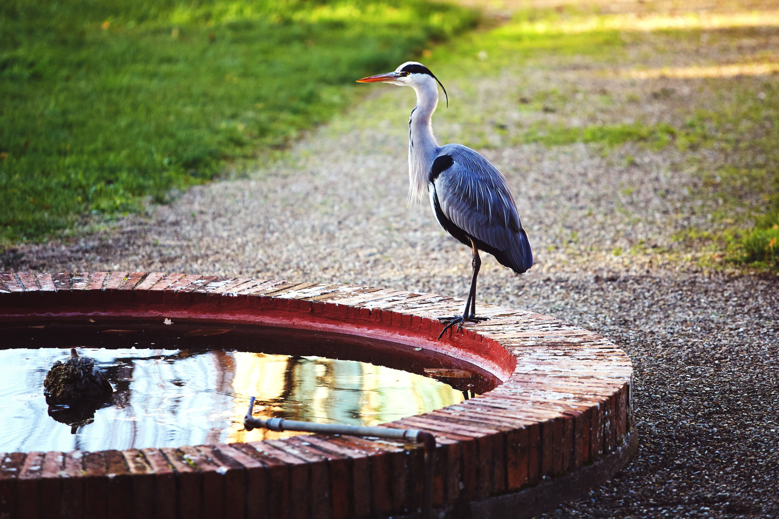 Флоренция. Рекламный коммерческий фотограф в Москве Владимир Лукьянов