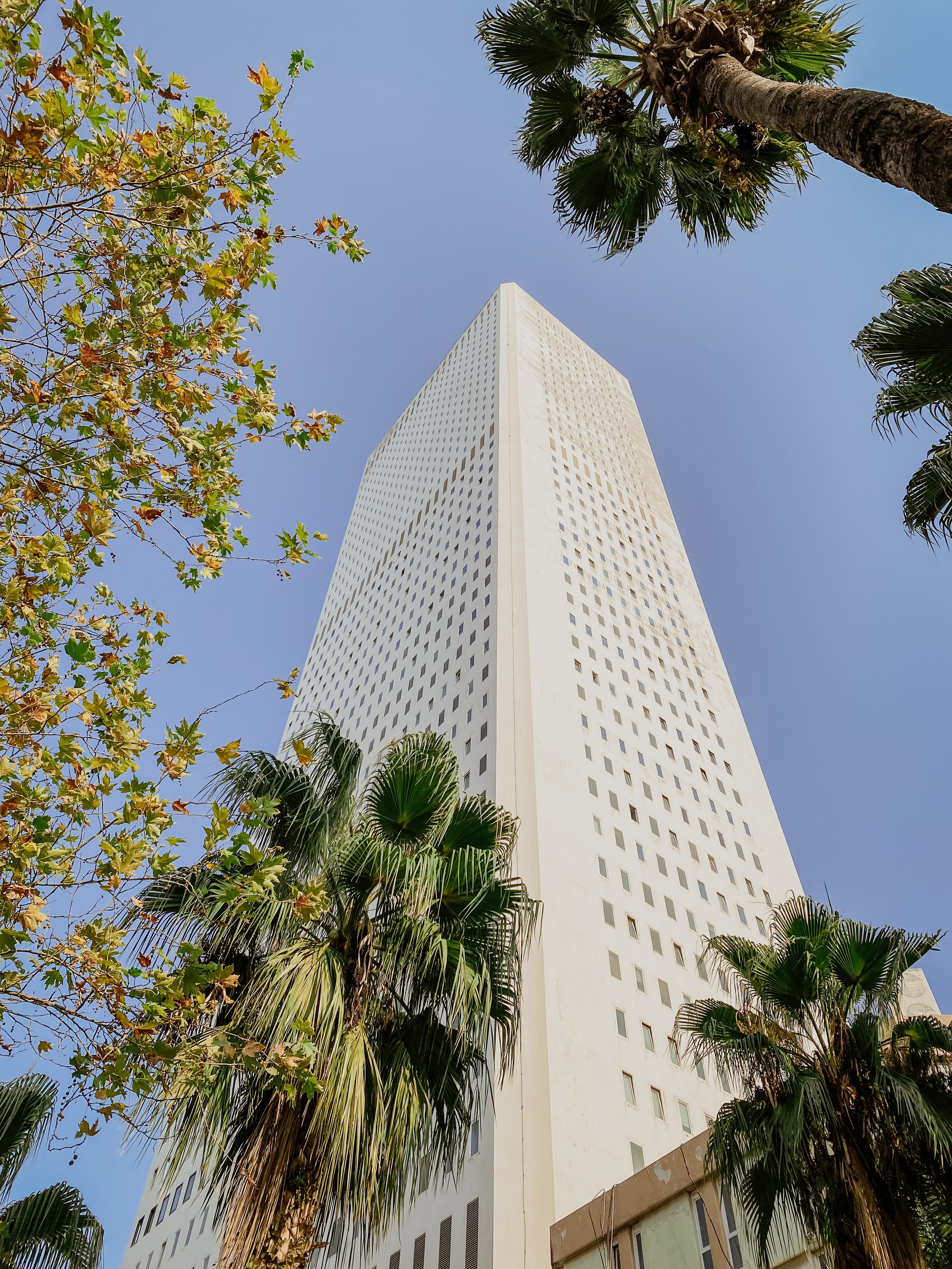 Iphone. Photographer in Turkey — Dari N