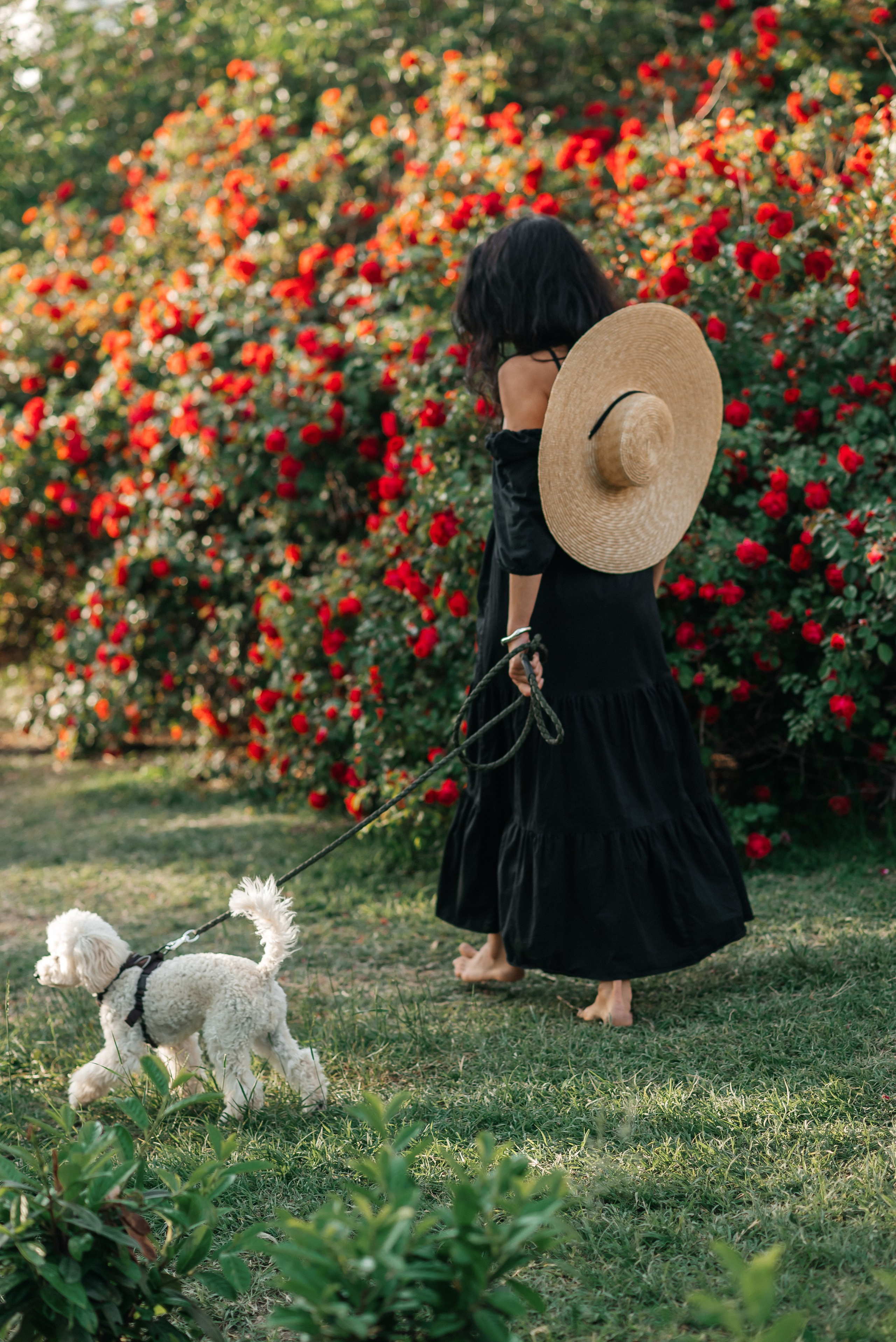 Р О З Ы. Семейный и свадебный фотограф в Севастополе Лиза Печенько