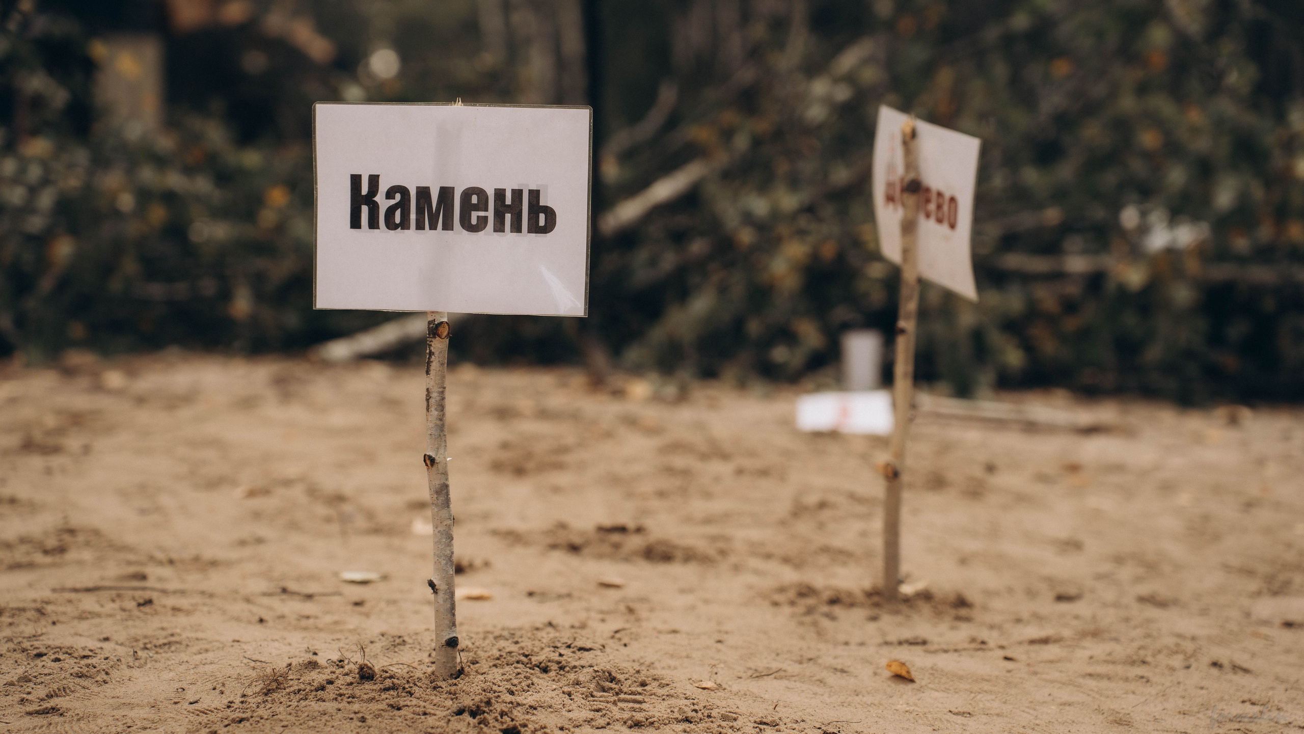 Фестиваль поисковых отрядов РТ 2025. Алиса Никитцова | Фотограф в Казани