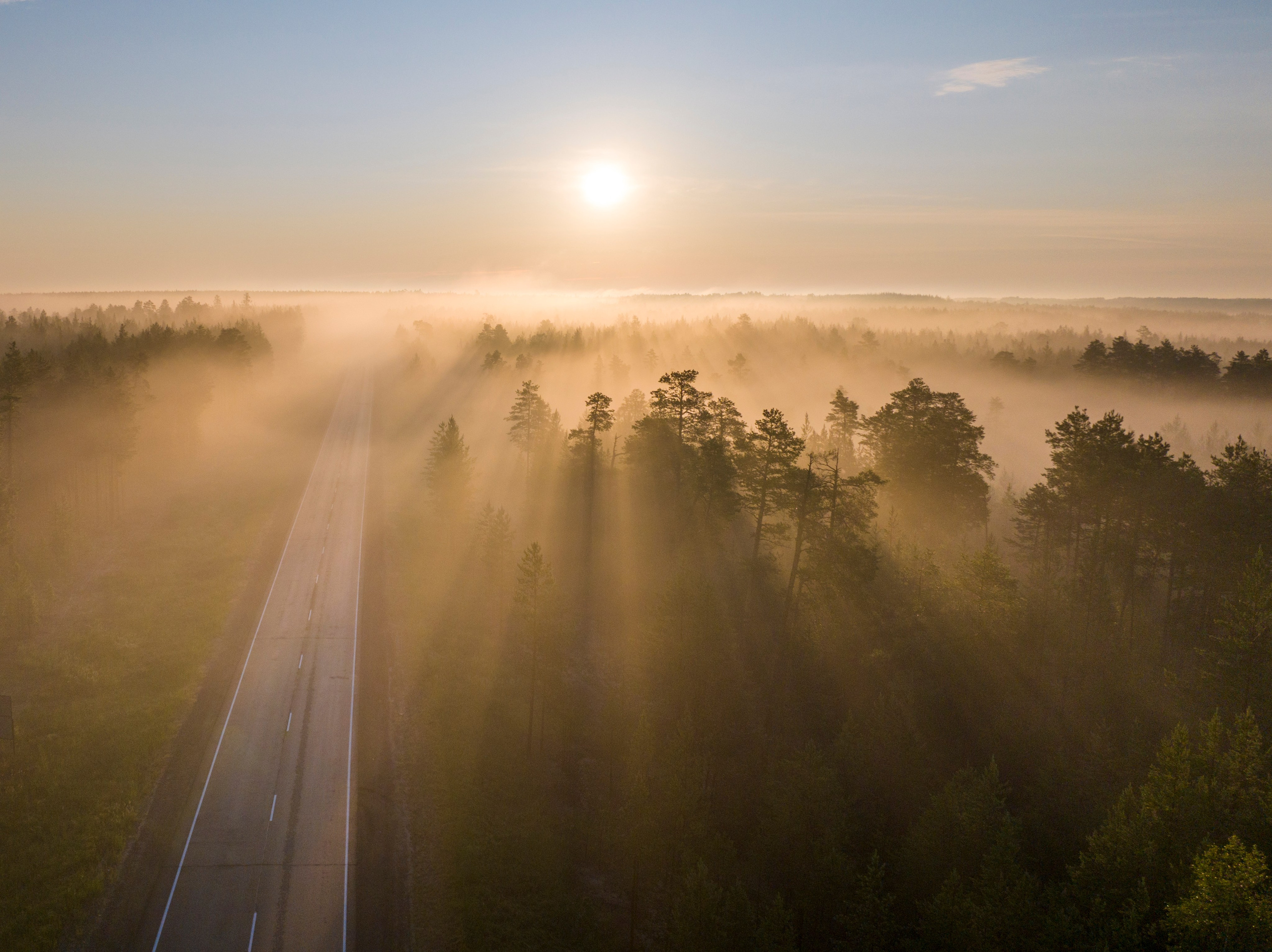 ПРИРОДА С ДРОНА. Фотограф Татьяна Борисова