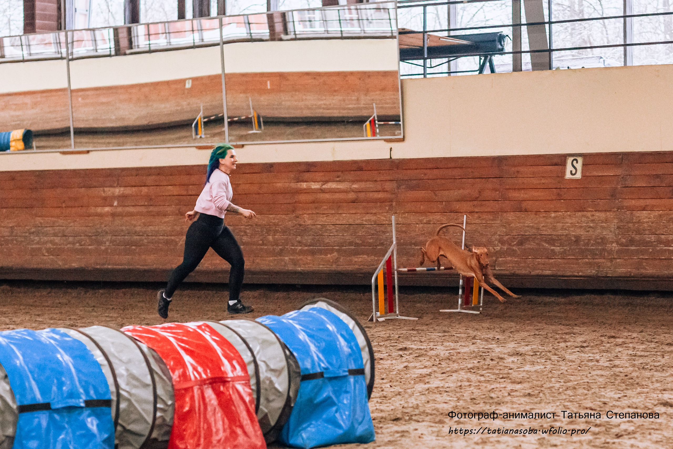 Соревнования по Аджилити 25.02.2024. Фотограф-анималист Татьяна Степанова