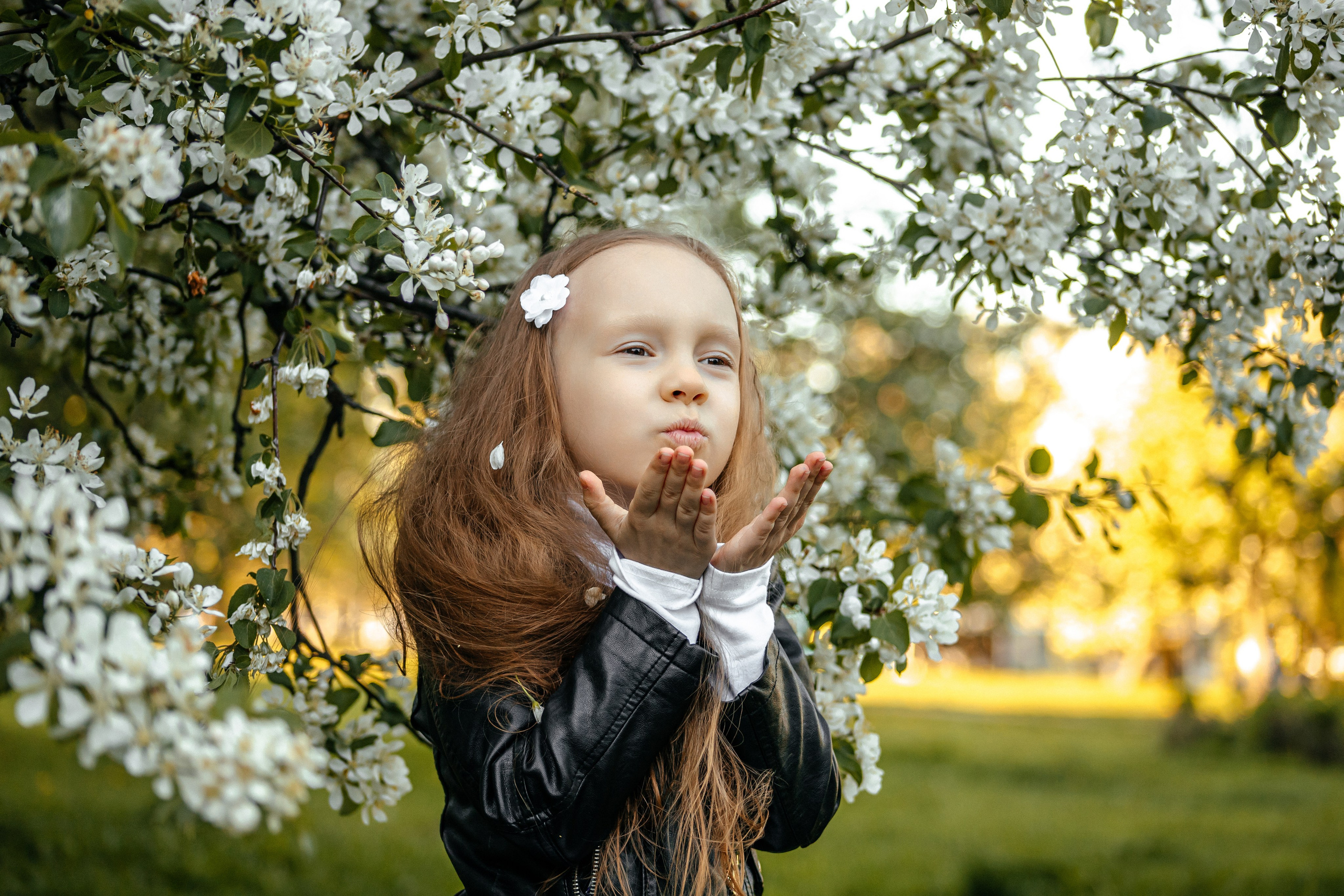 Белое цветение. Elena Sova — семейный и женский фотограф в Санкт-Петербурге