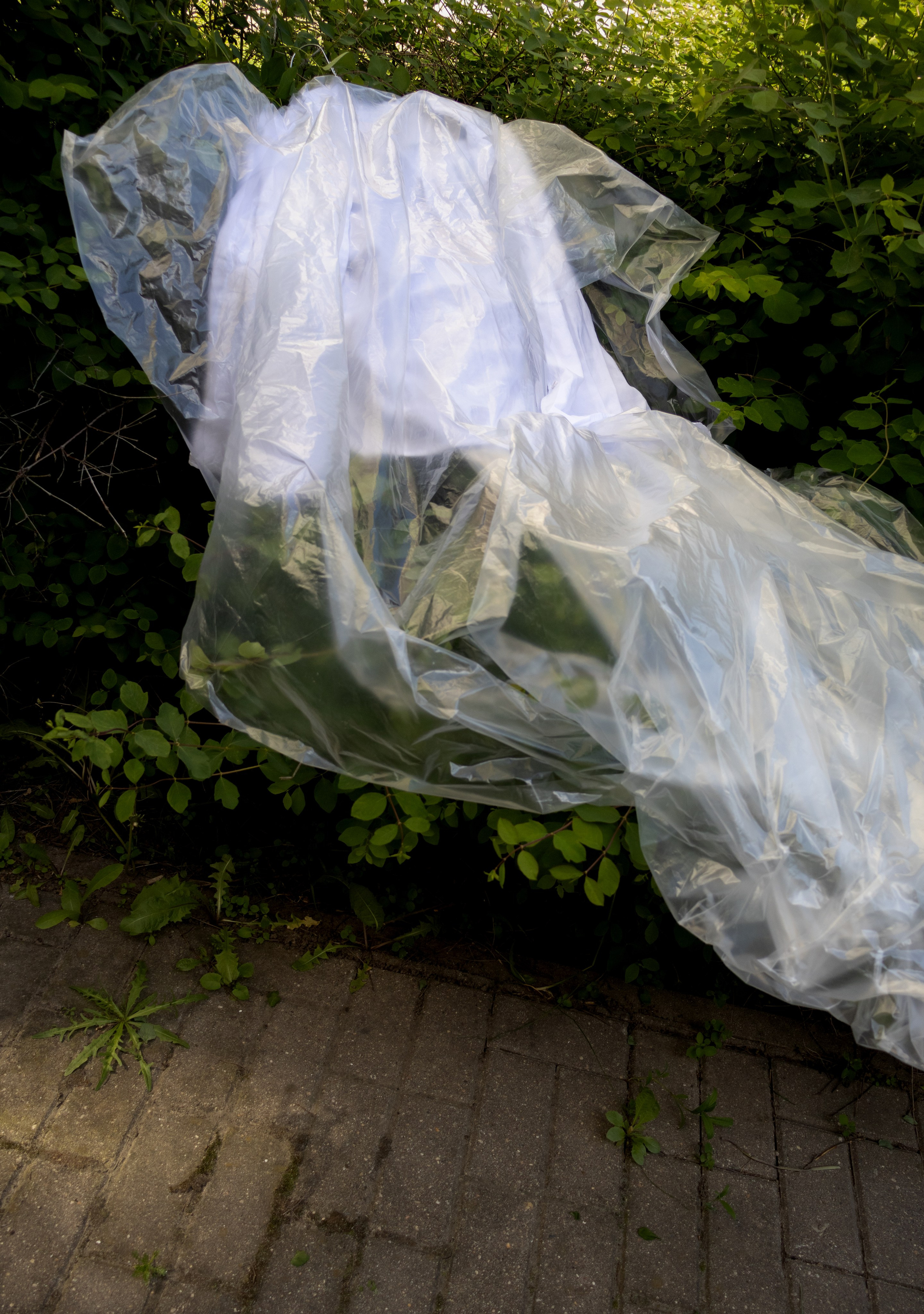 Urban extensions. Art direction & Design | Curiosa