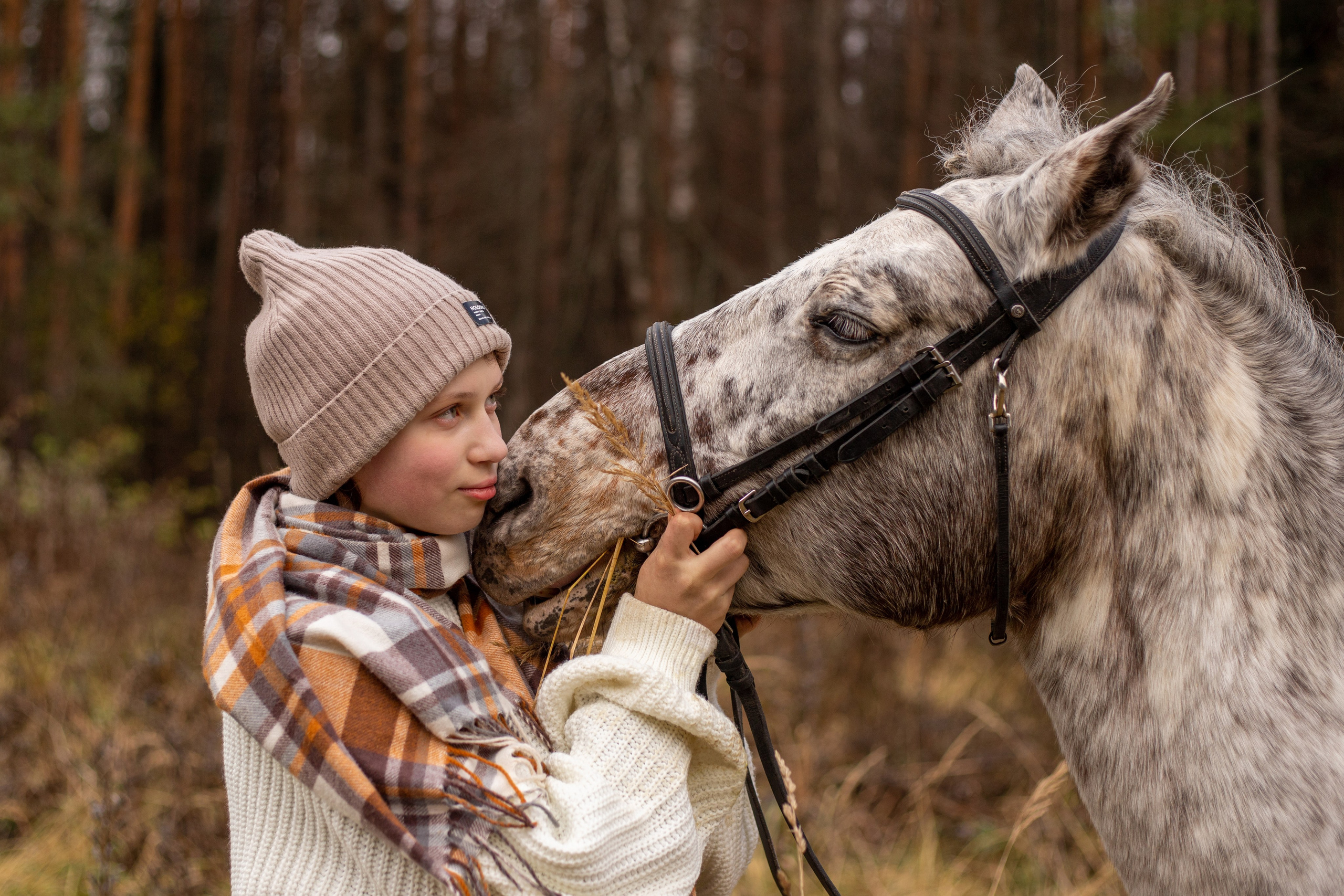 Фотосессии с лошадьми. Фотосессии с лошадьми в Москве и МО