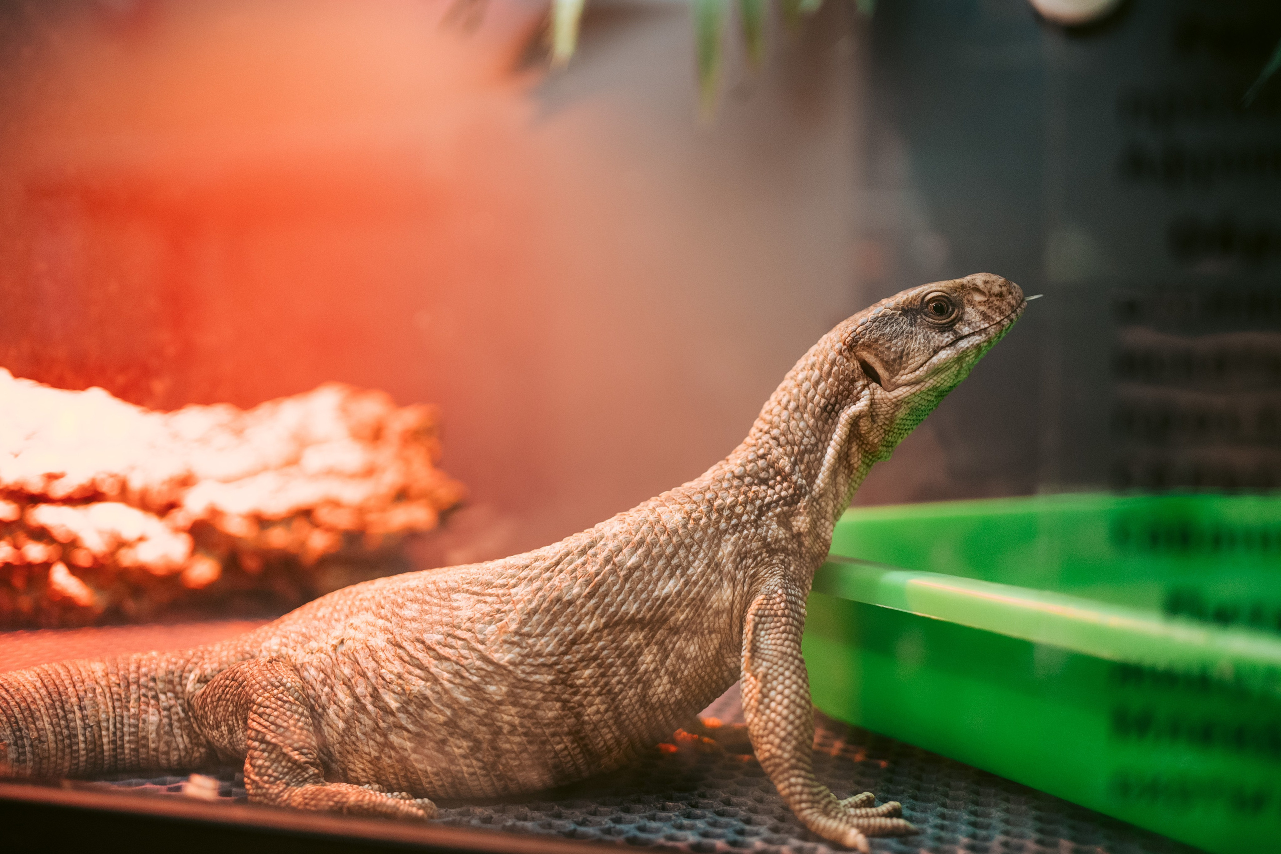 Ночь искусств 2023. Фотограф на любое событие в Кемерово