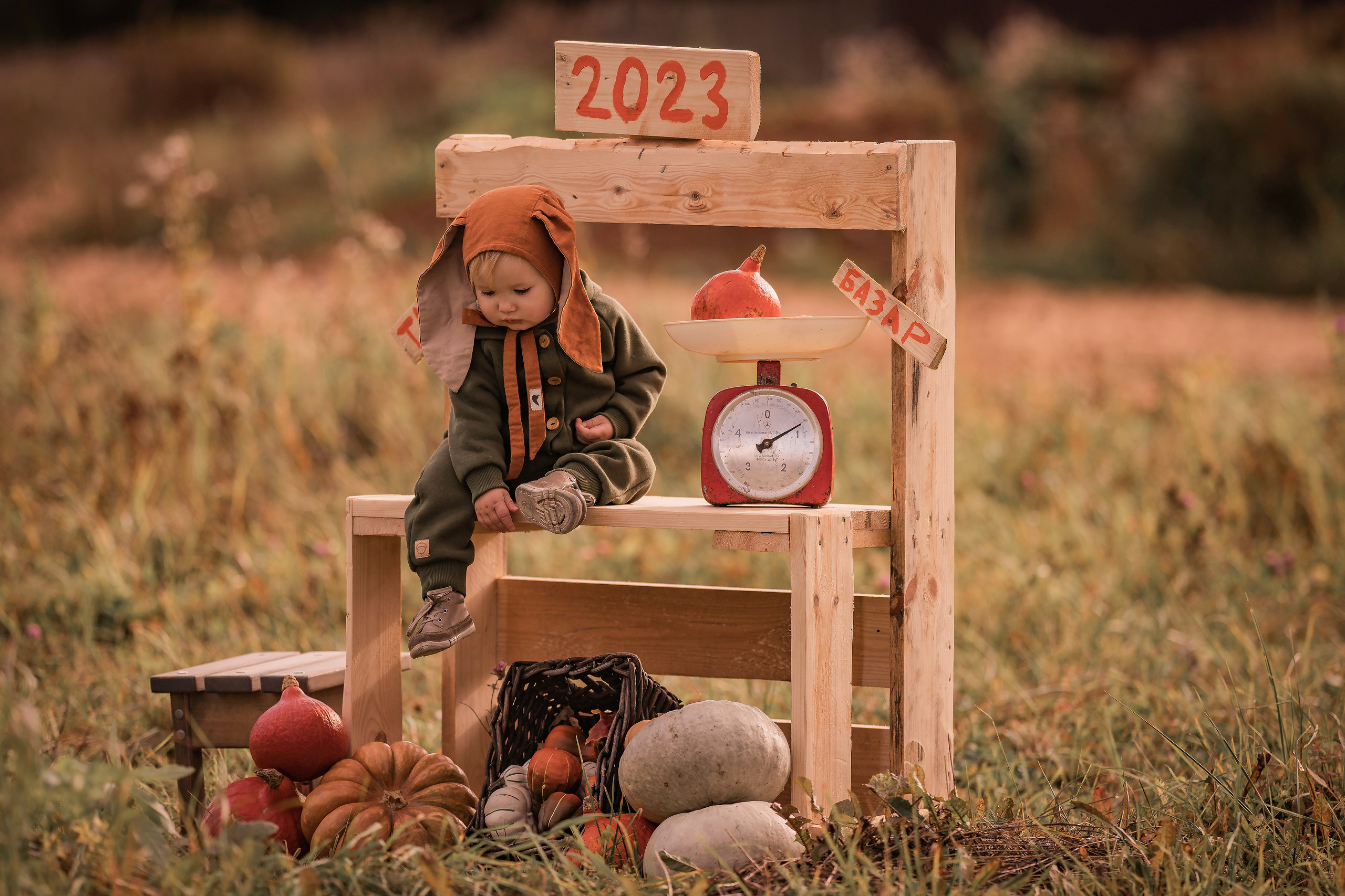 Осень, тыквы, дети. Семейный фотограф Ефремова Виктория