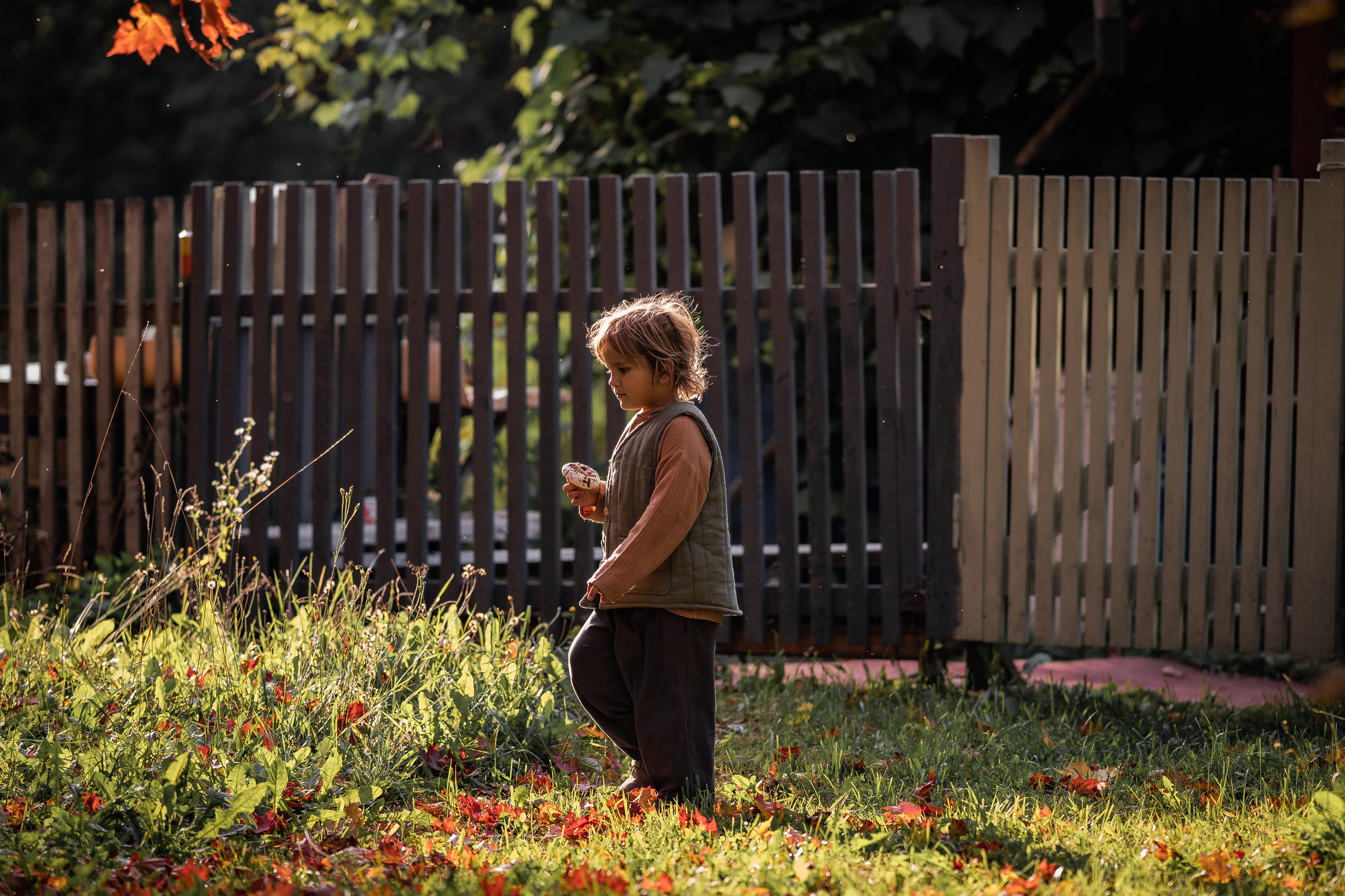 Никола-Ленивец. Дети. Осень. Грибы. Семейный фотограф Ефремова Виктория