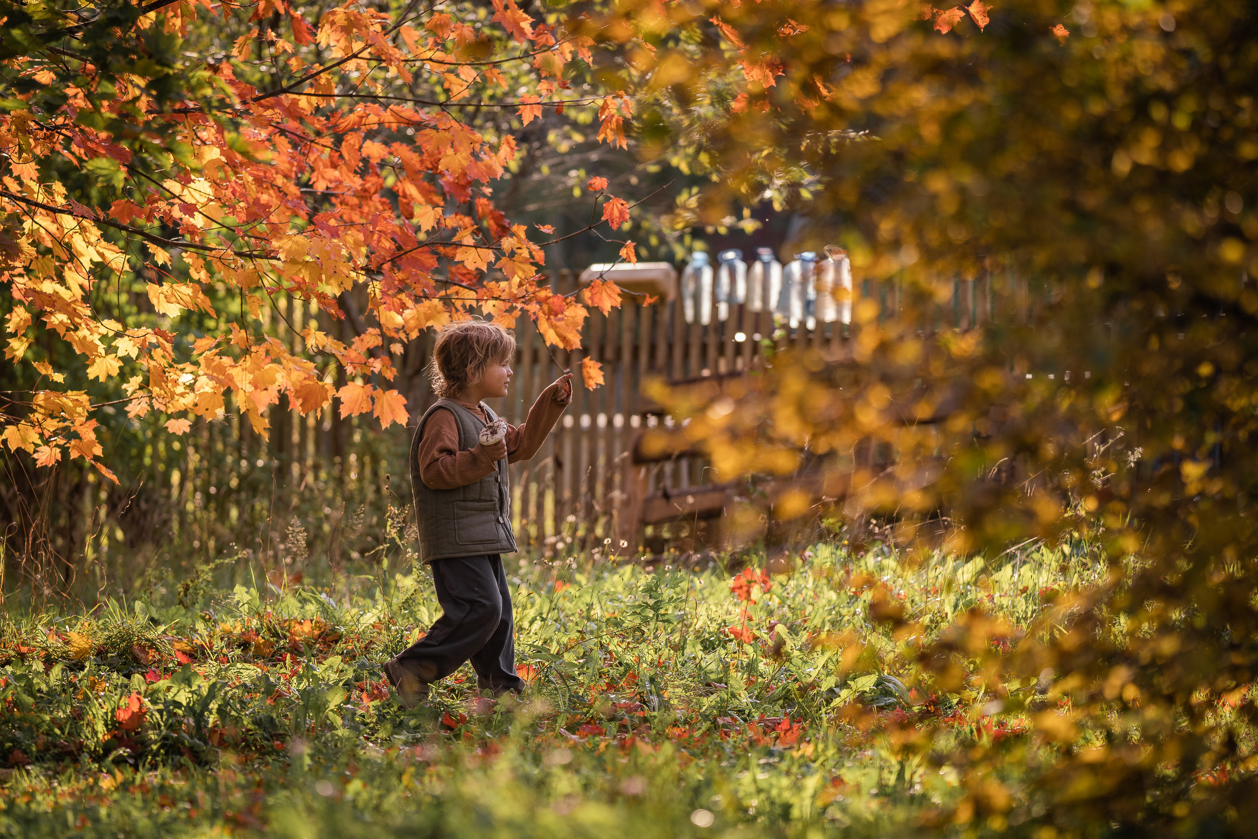 Никола-Ленивец. Дети. Осень. Грибы. Семейный фотограф Ефремова Виктория