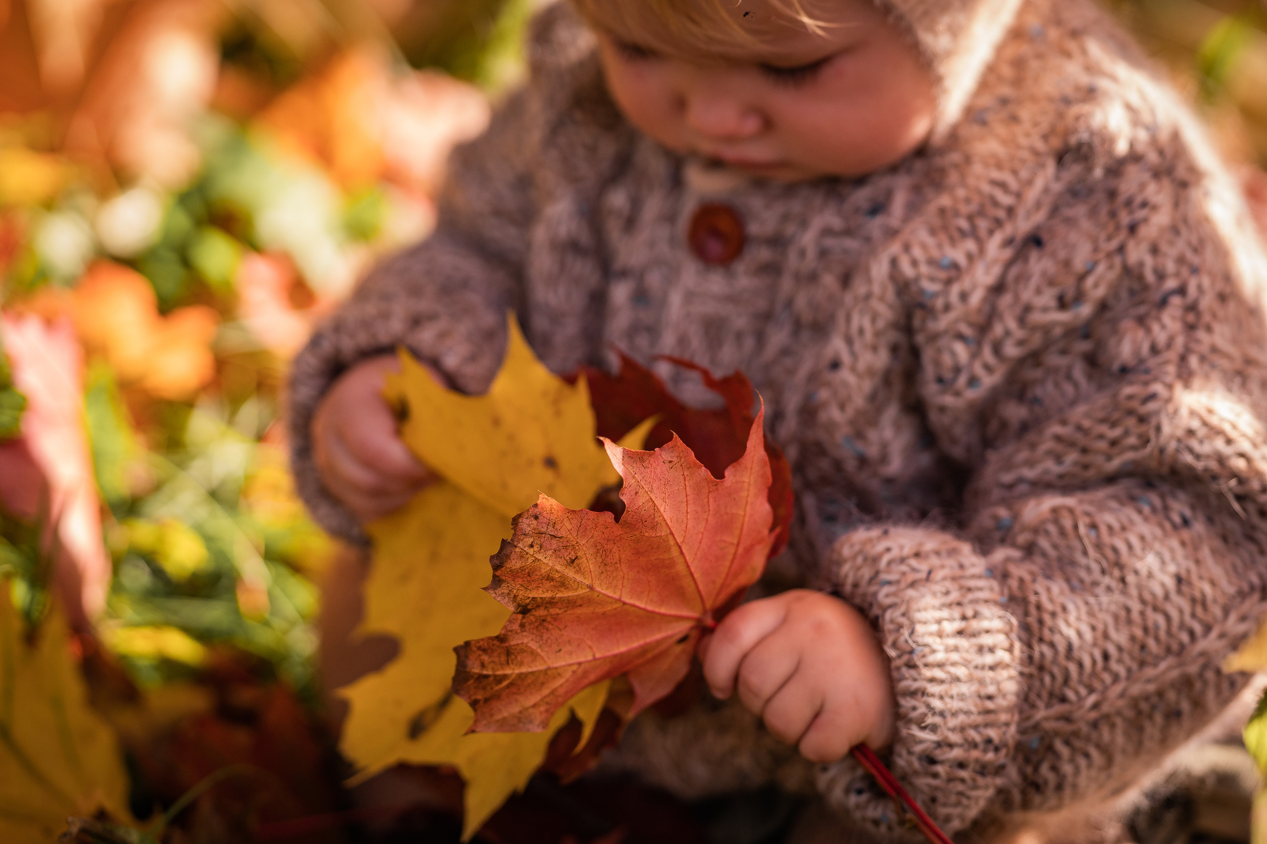 Никола-Ленивец. Дети. Осень. Грибы. Семейный фотограф Ефремова Виктория
