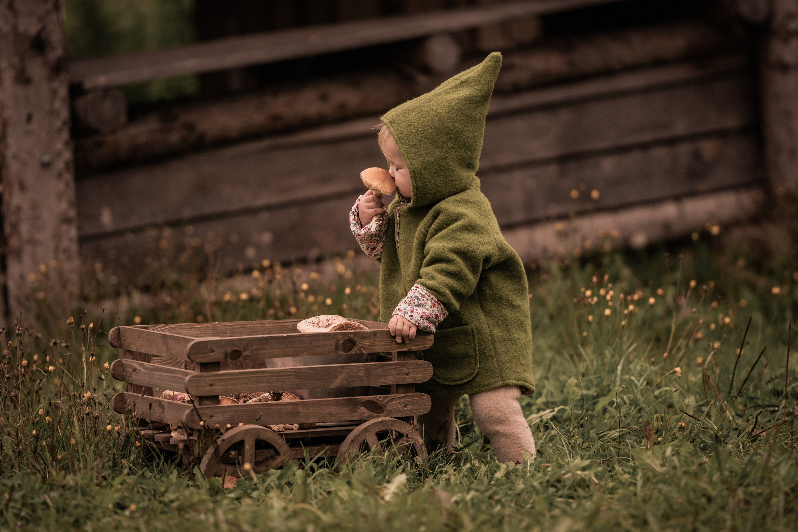 Никола-Ленивец. Дети. Осень. Грибы. Семейный фотограф Ефремова Виктория