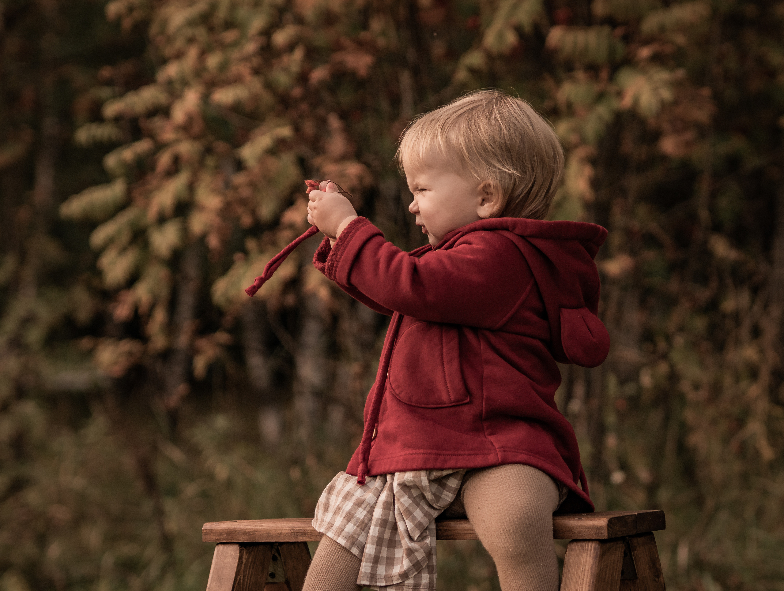Дети. Сентябрь. Семейный фотограф Ефремова Виктория