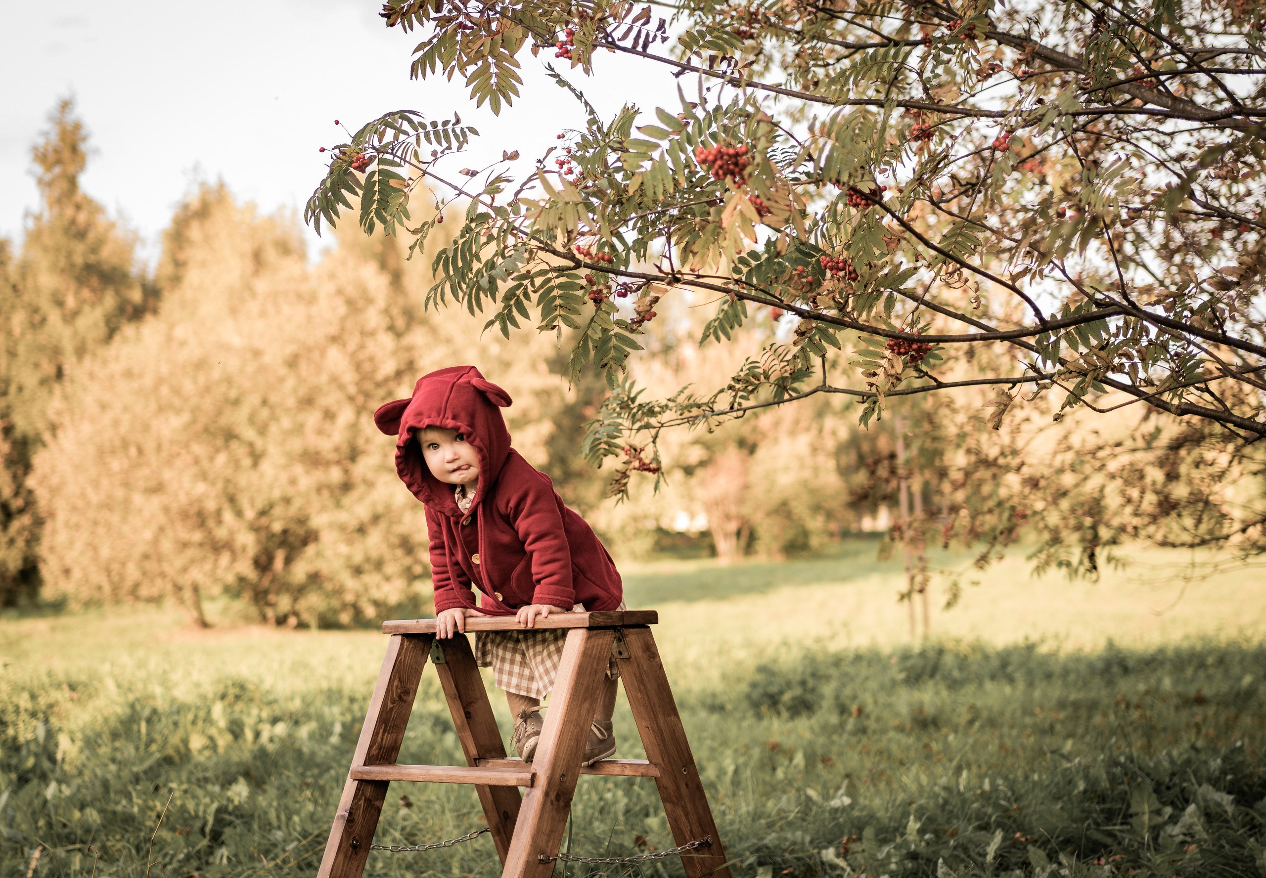 Дети. Сентябрь. Семейный фотограф Ефремова Виктория