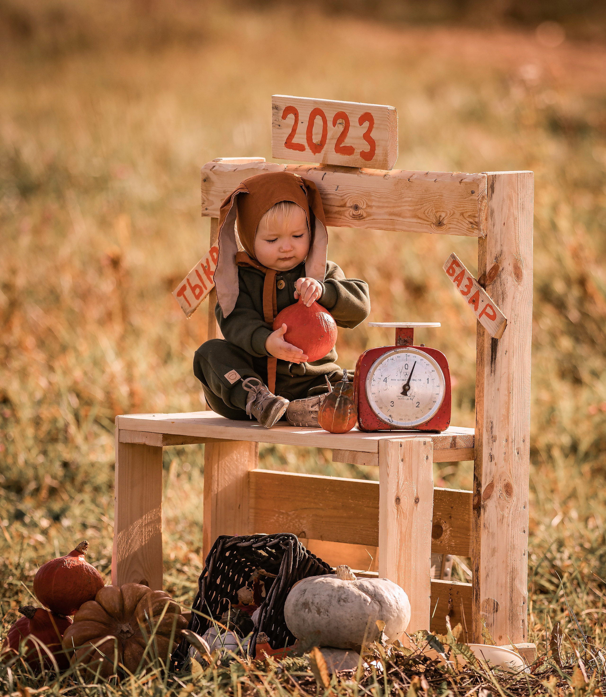 Осень, тыквы, дети. Семейный фотограф Ефремова Виктория