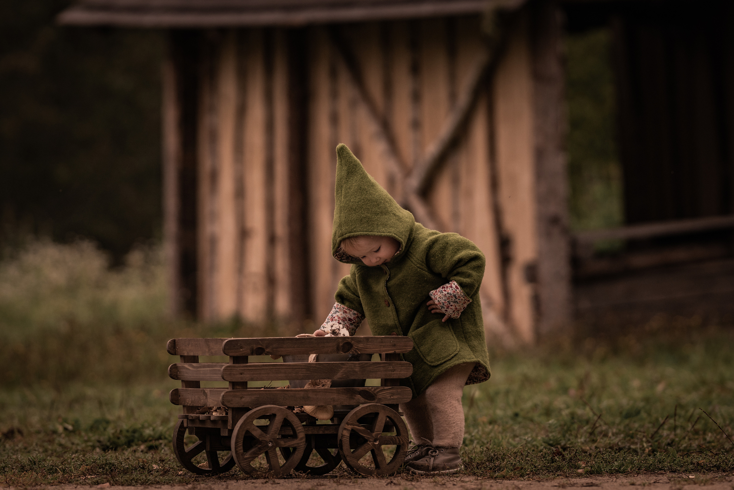 Никола-Ленивец. Дети. Осень. Грибы. Семейный фотограф Ефремова Виктория
