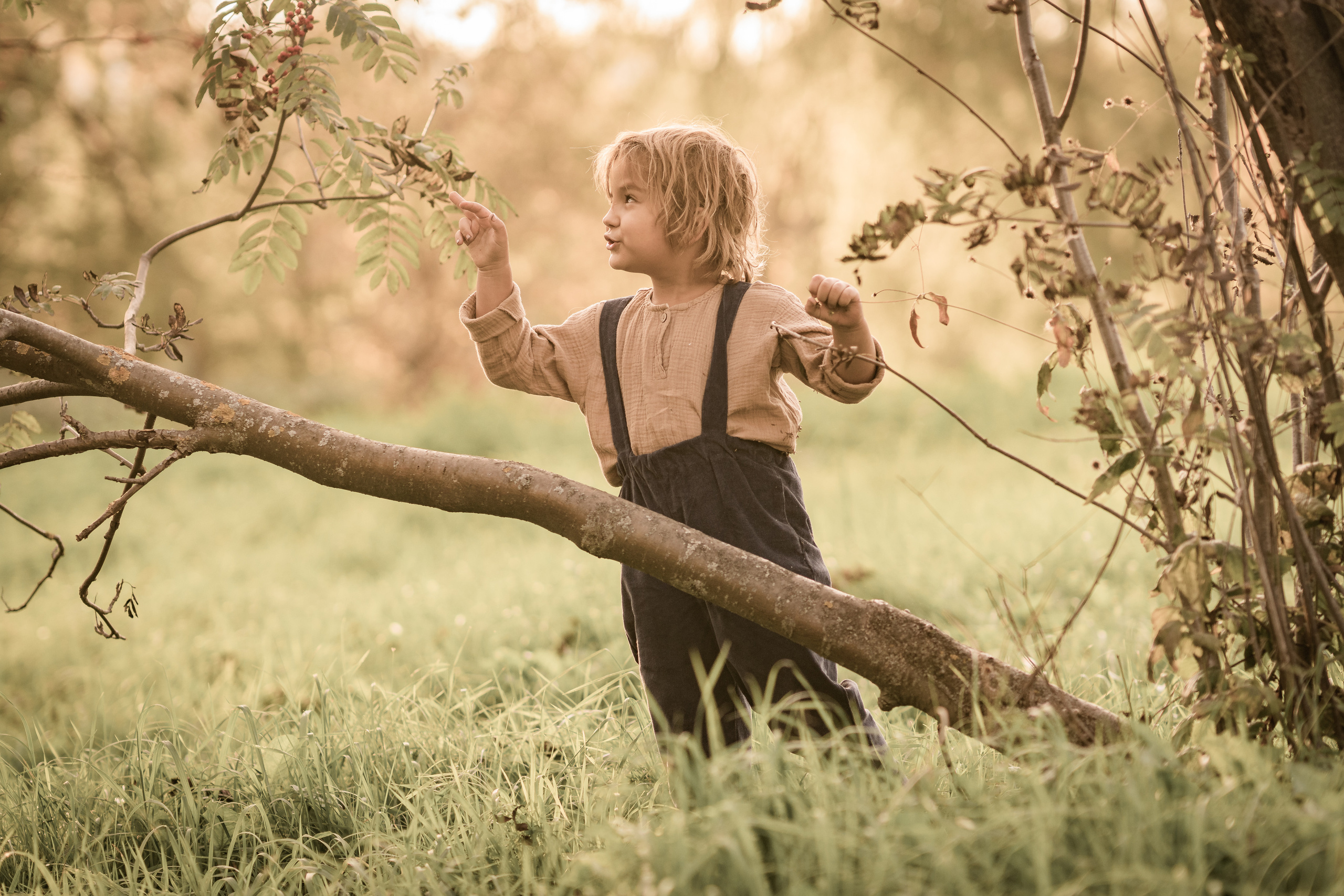 Дети. Сентябрь. Семейный фотограф Ефремова Виктория