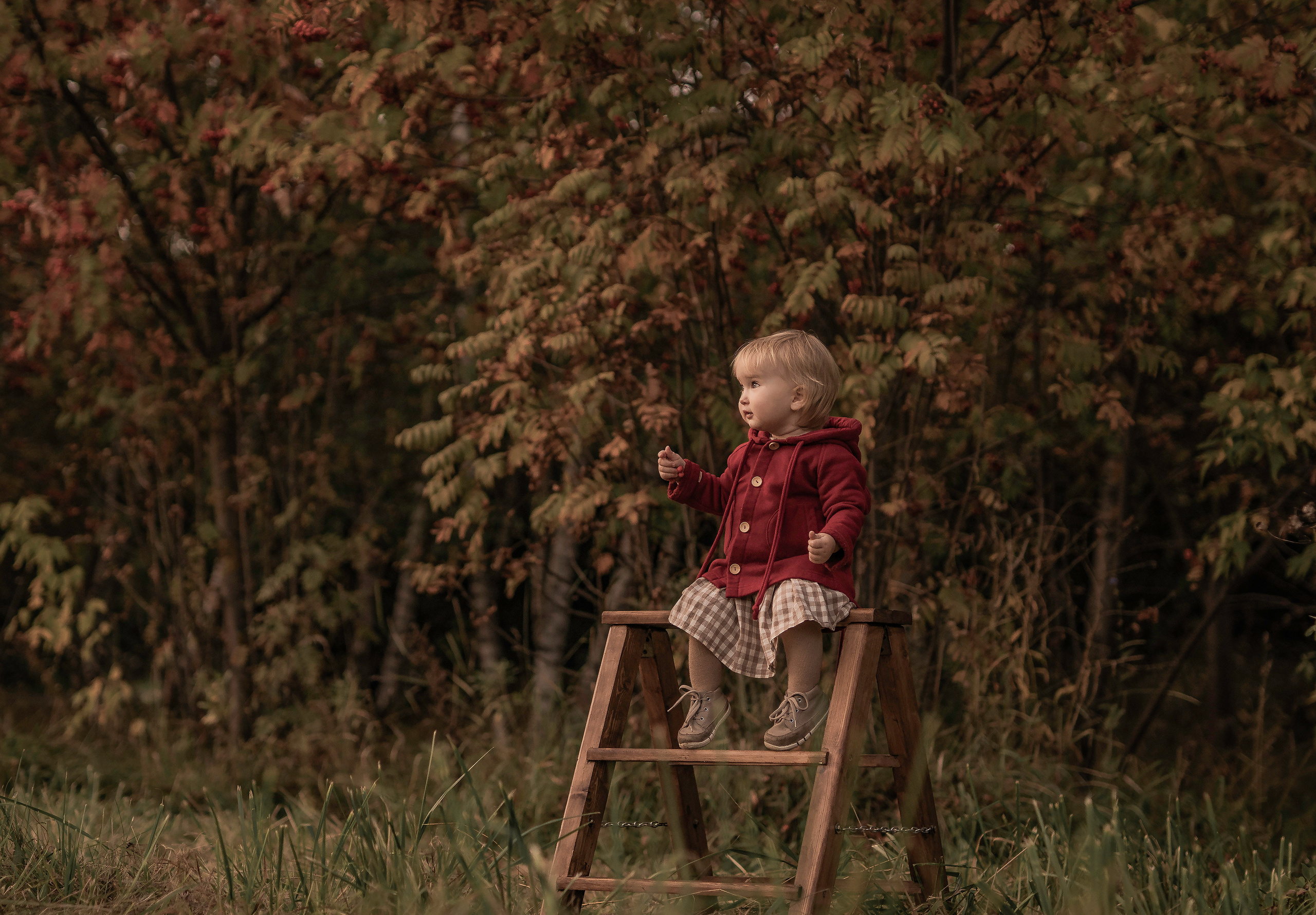 Фотосессии Виктория Ефремова. Семейный фотограф Ефремова Виктория