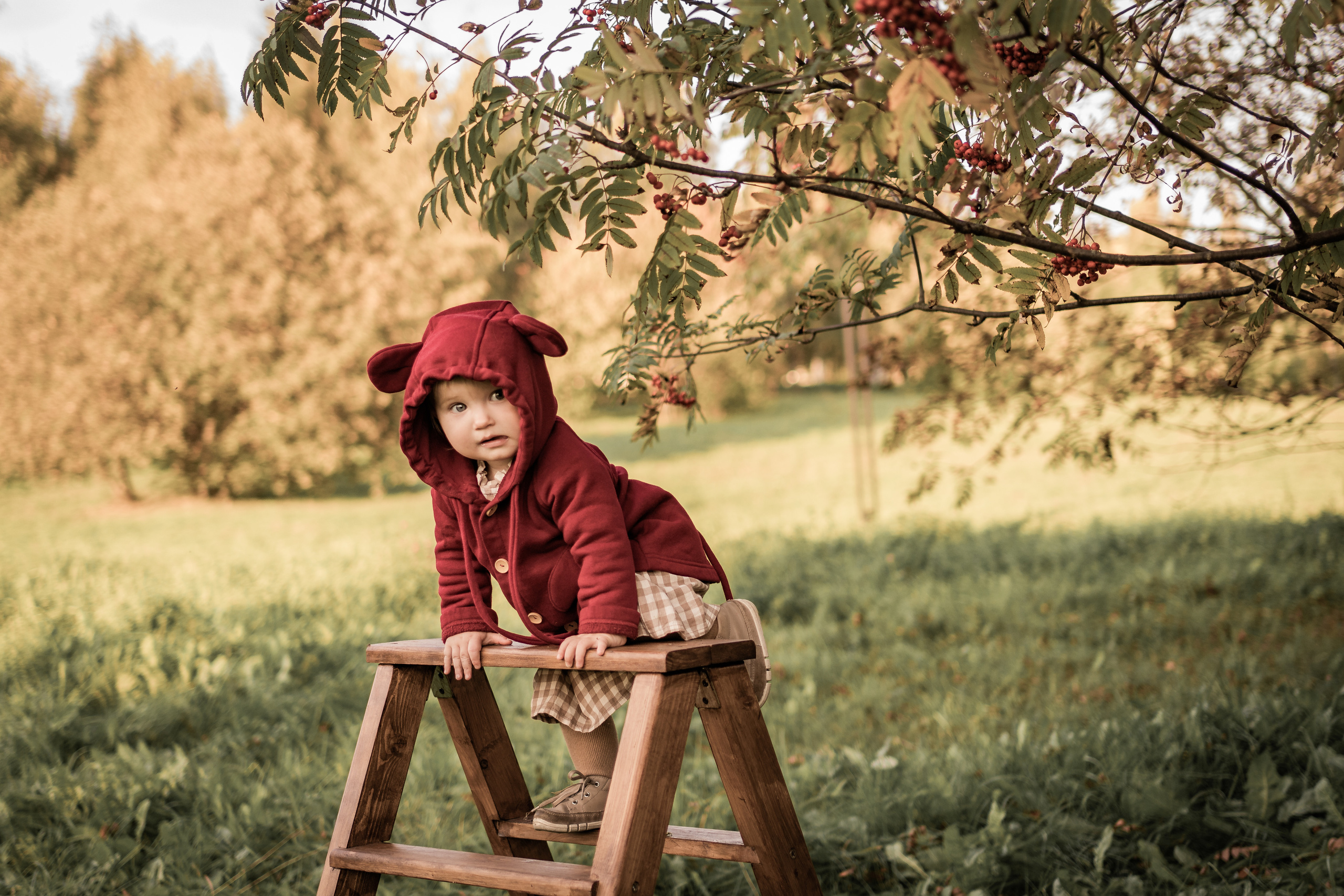 Дети. Сентябрь. Семейный фотограф Ефремова Виктория