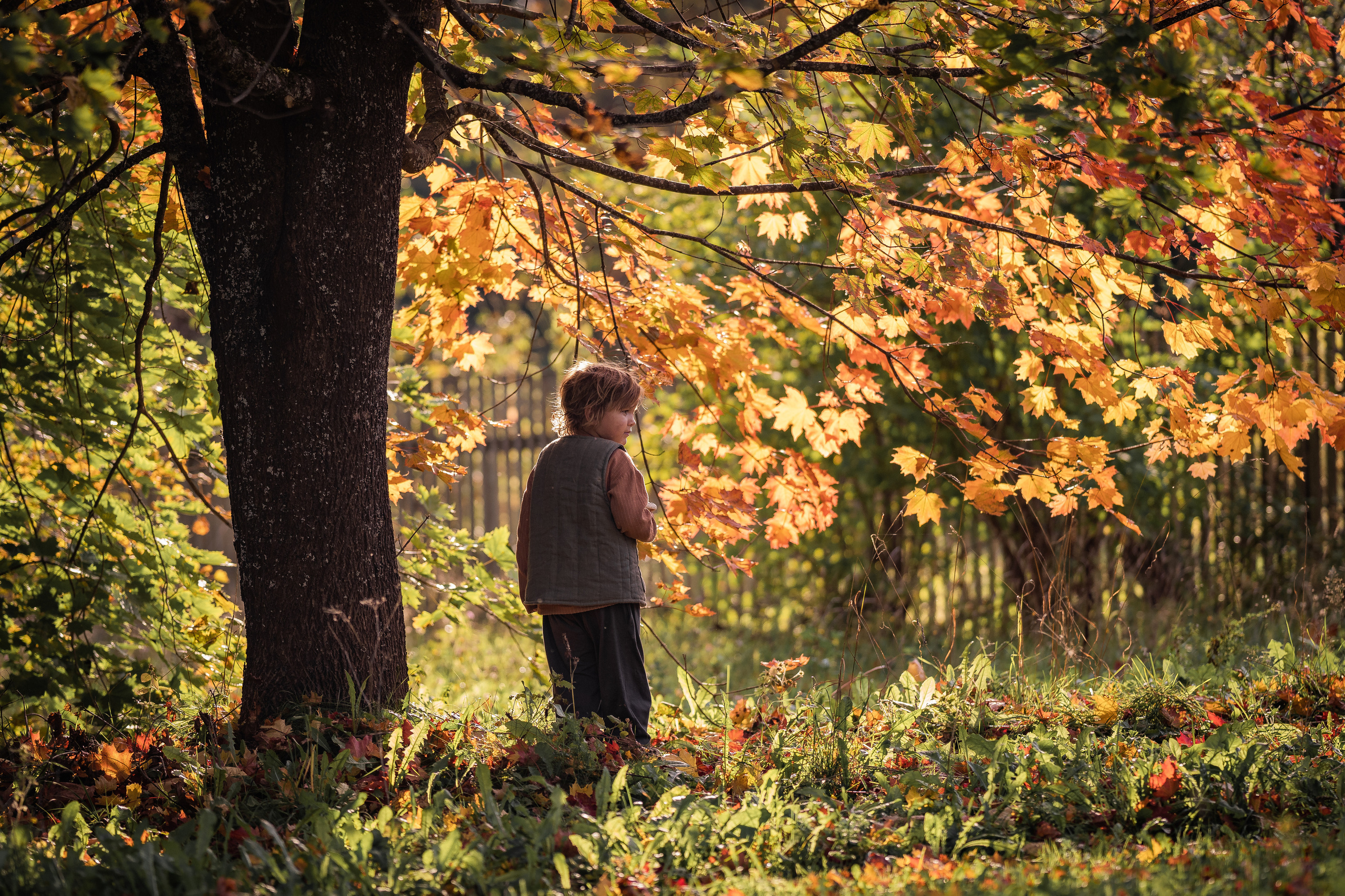 Никола-Ленивец. Дети. Осень. Грибы. Семейный фотограф Ефремова Виктория