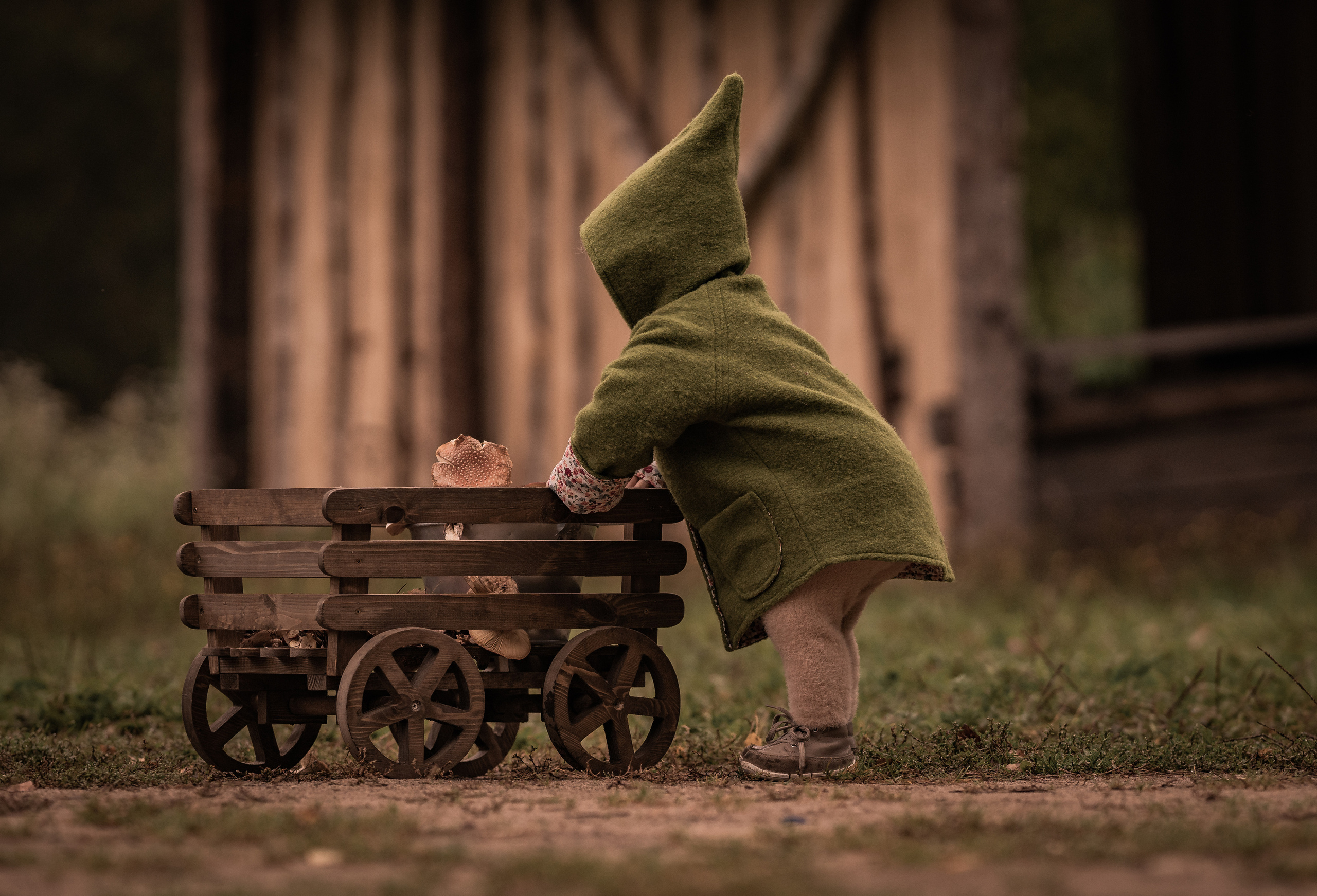 Никола-Ленивец. Дети. Осень. Грибы. Семейный фотограф Ефремова Виктория