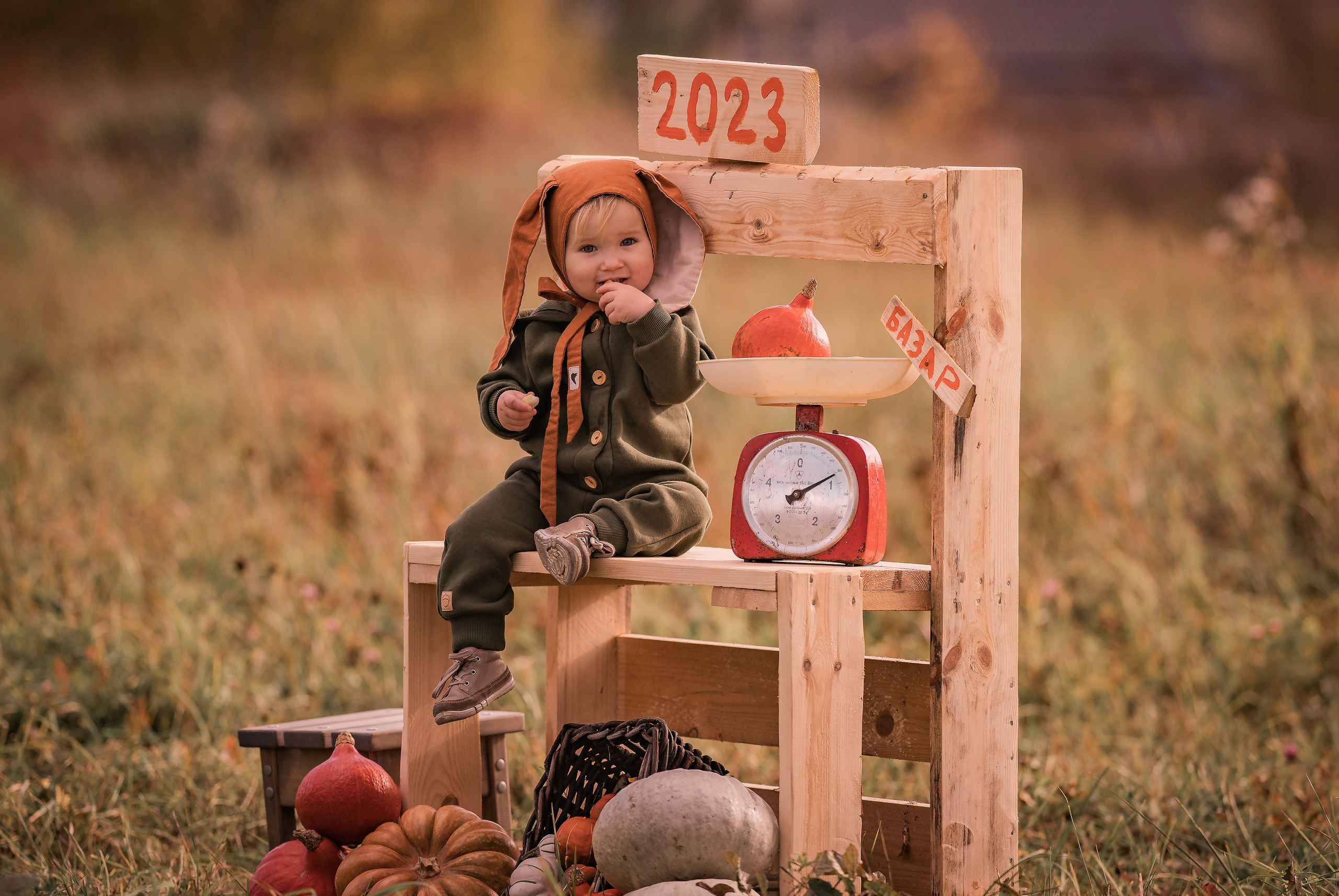 Осень, тыквы, дети. Семейный фотограф Ефремова Виктория