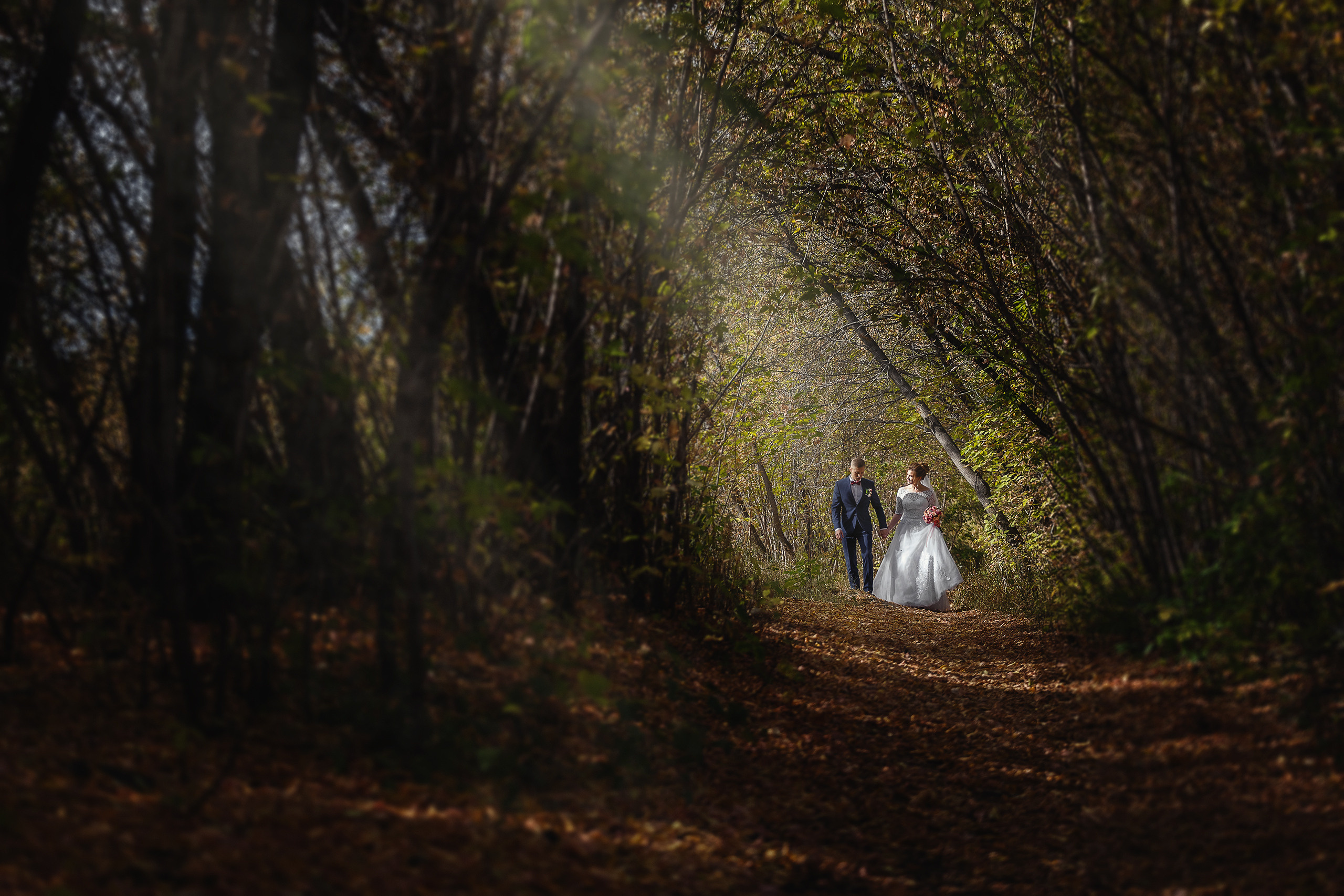 Отзывы. Gan media. Свадебные видео и фото в Барнауле. Антон Губанов