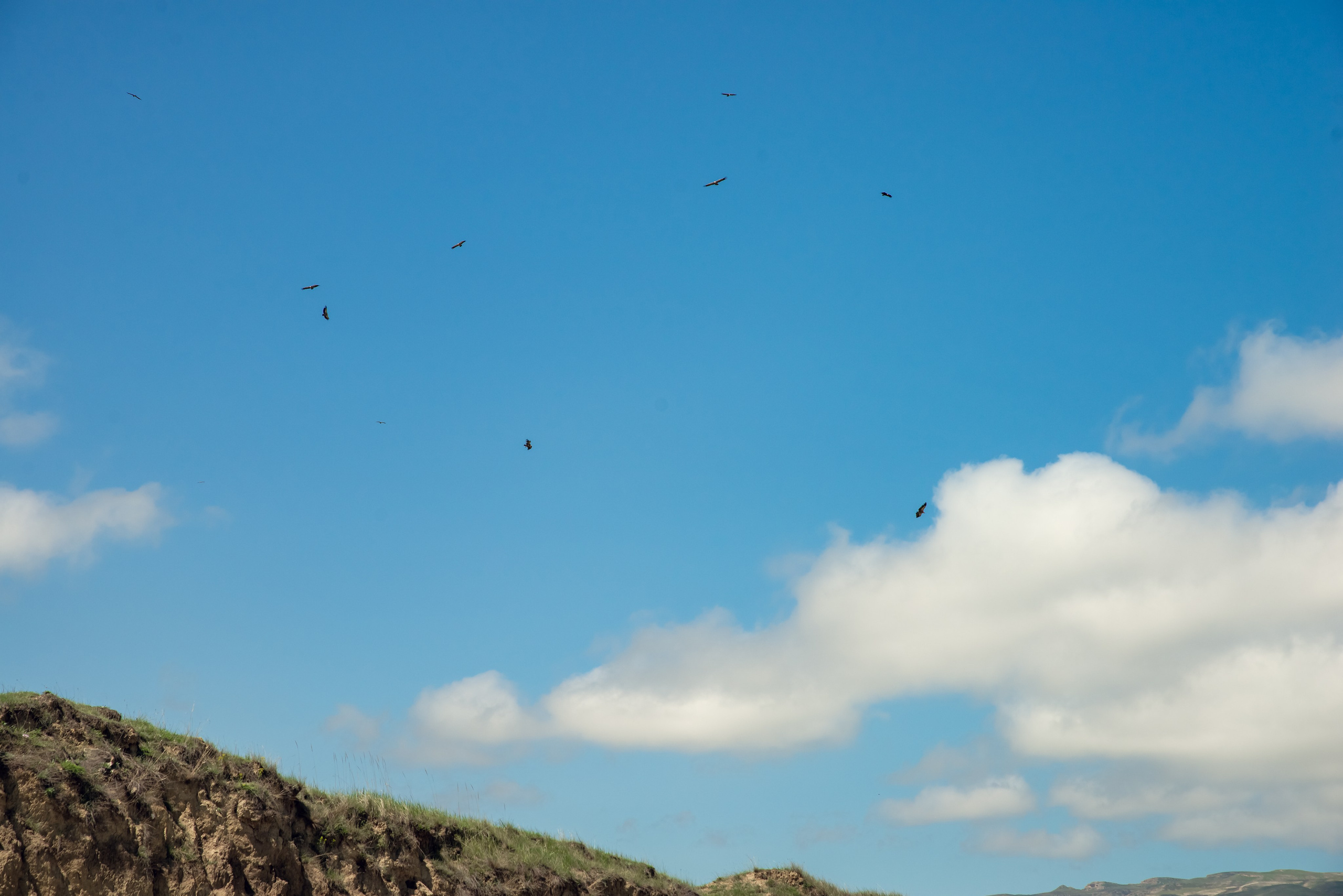 Дагестан. Фотограф Крещение Венчание Москва
