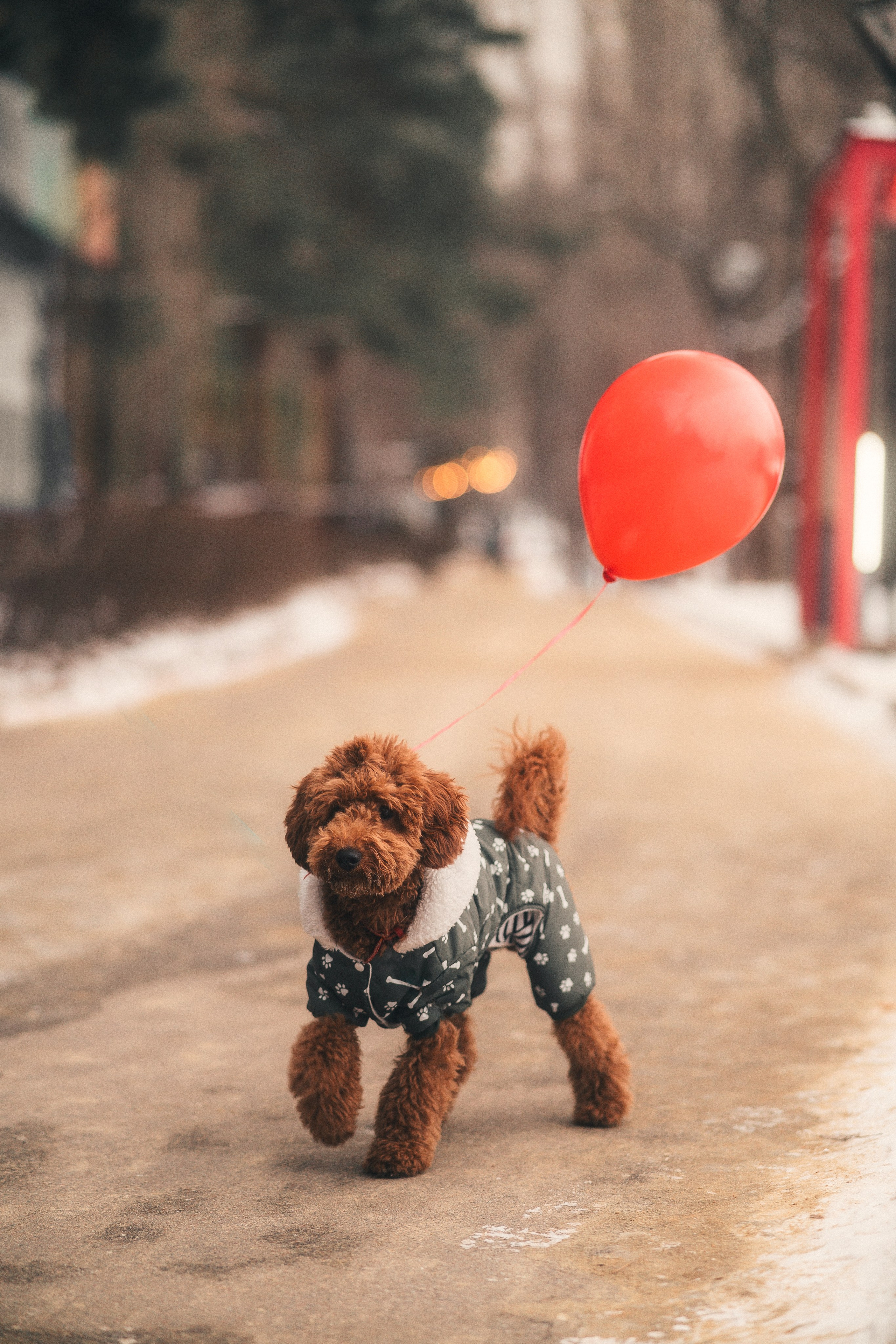 Додо Пицца. Свадебный и репортажный фотограф в Воронеже Роман Янко