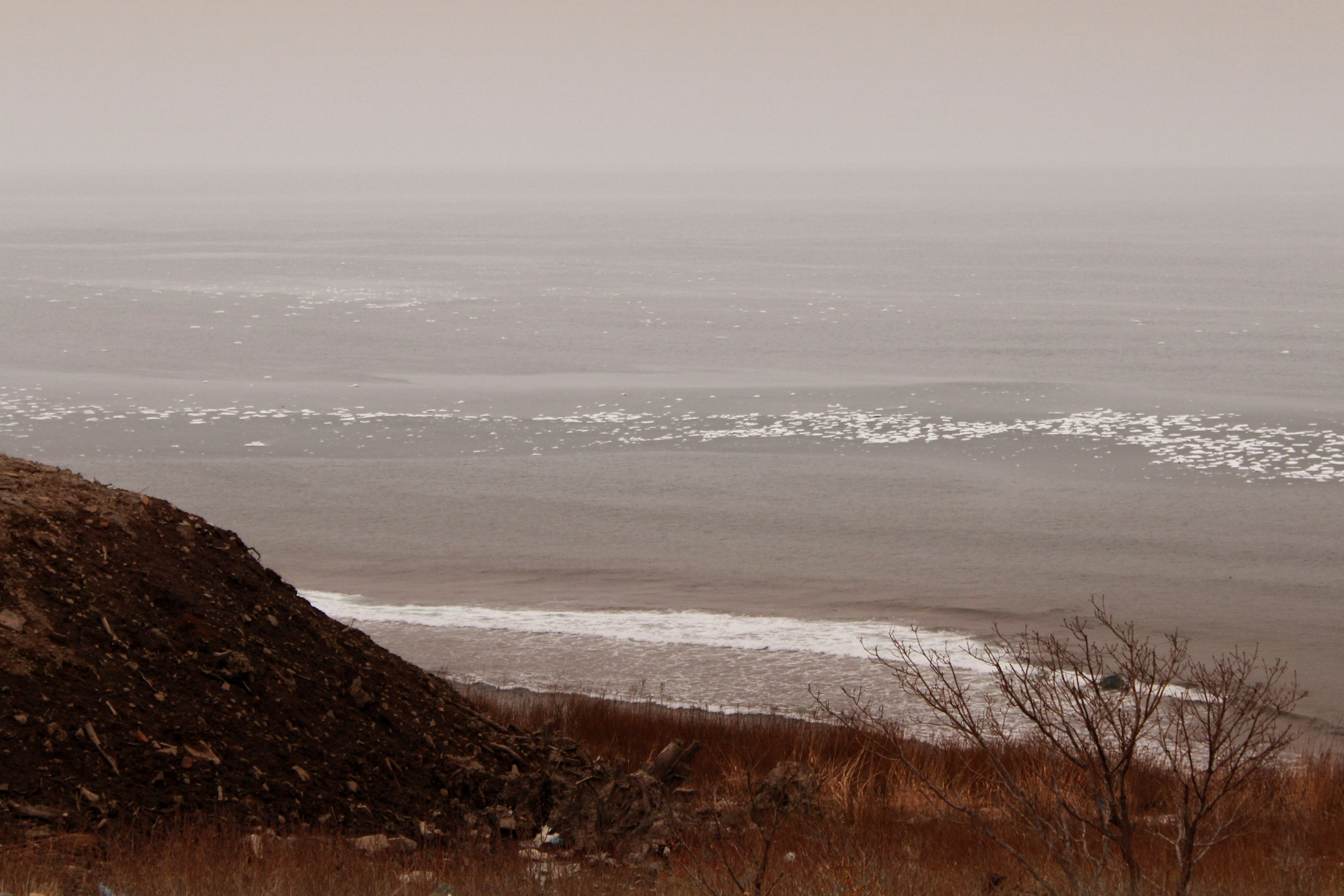 Природа. Команда фотографов Кристины Ивановой