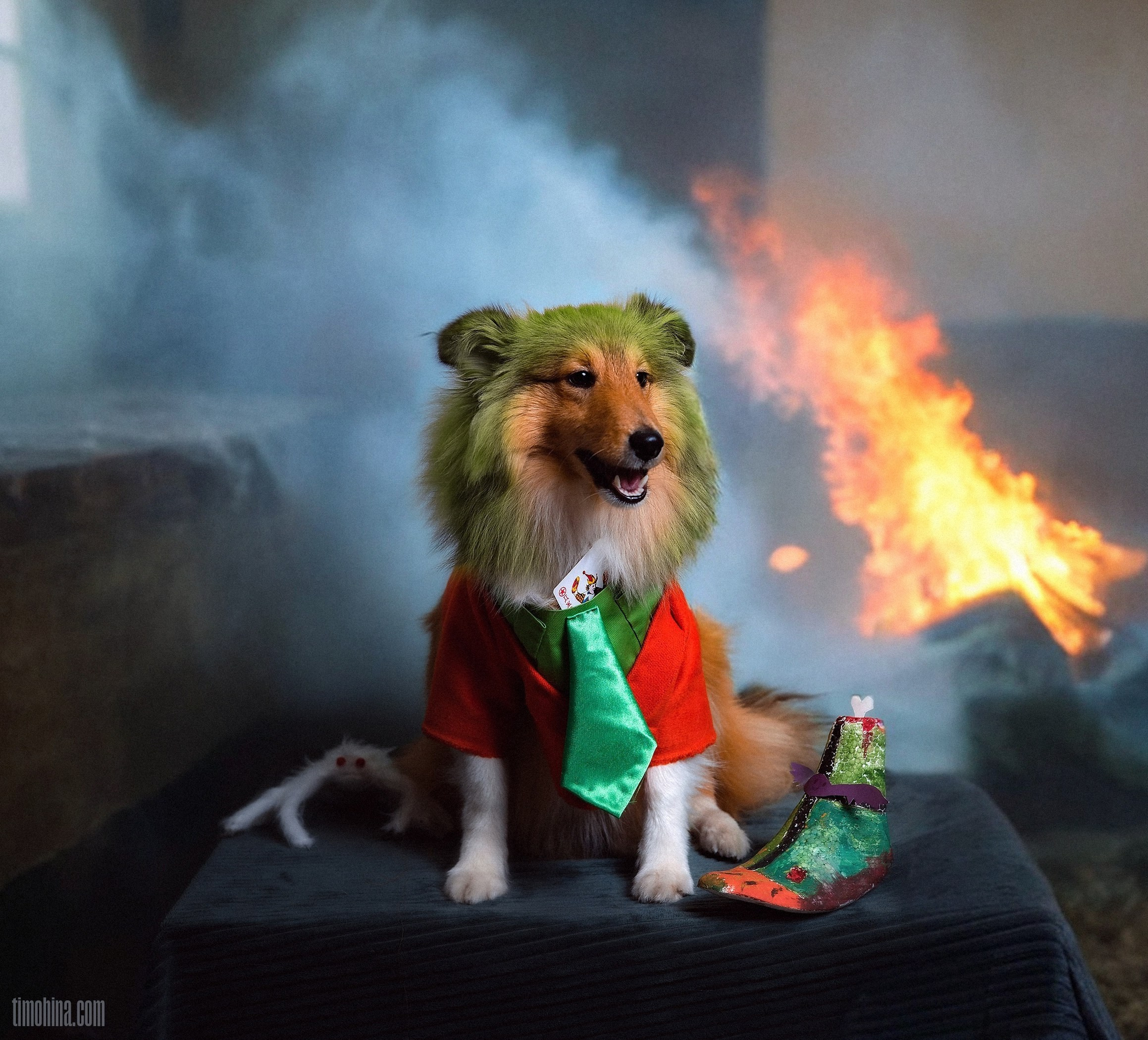 ФотоОткрытки на хэллоуин. Художник и Фотограф Тимохина Юлия