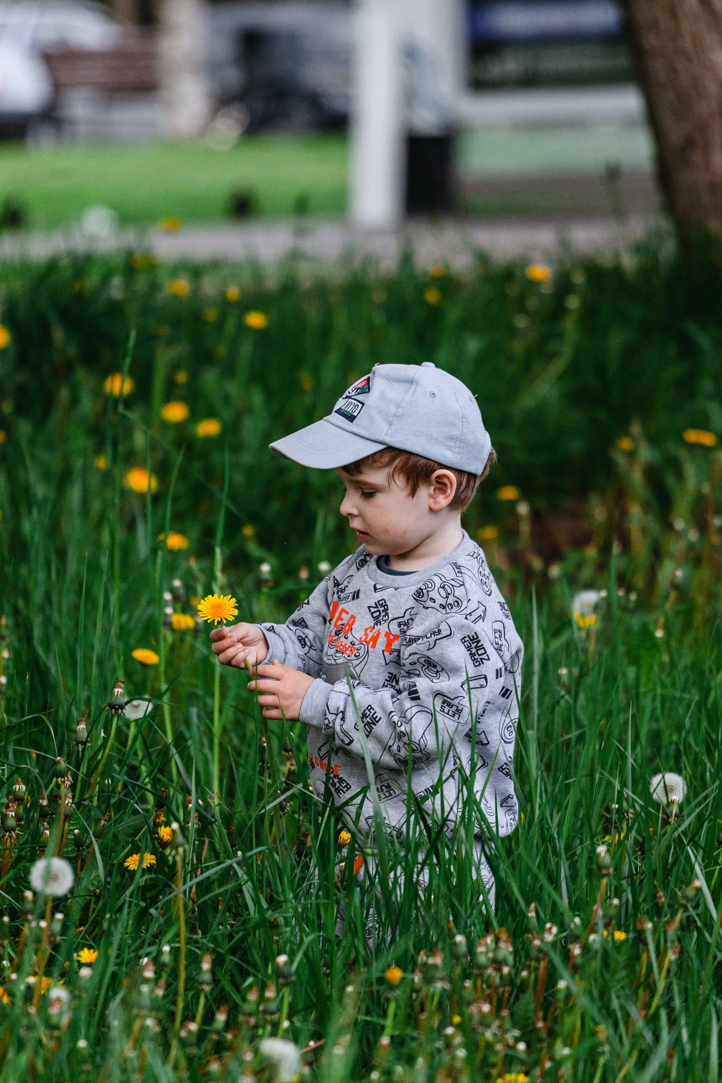 Семейная экспресс фотосессия в рамках фотодня. Фотограф-анималист Татьяна Степанова