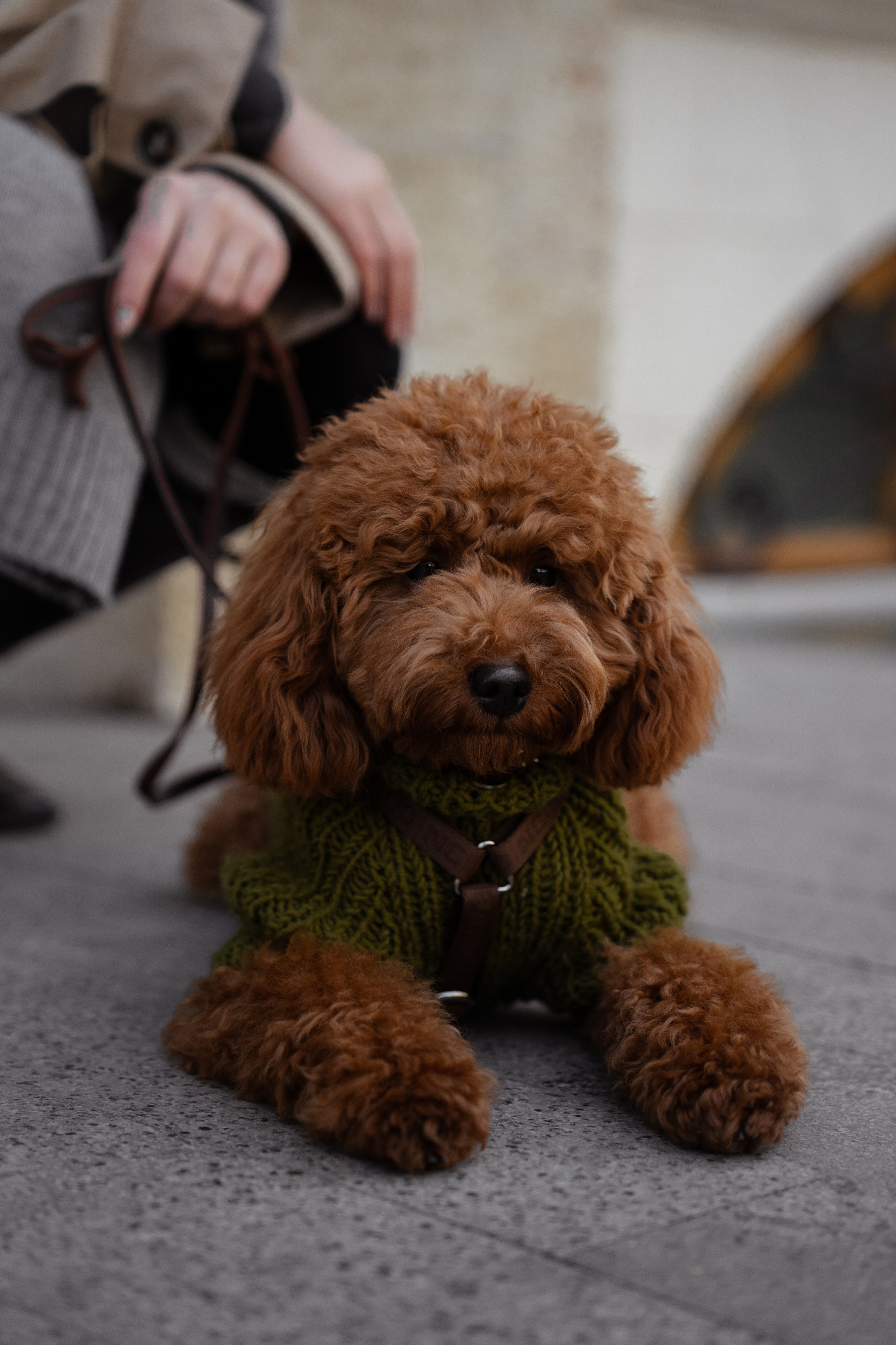 Таня и Боня. Фотограф Севастополь — Климова Анастасия
