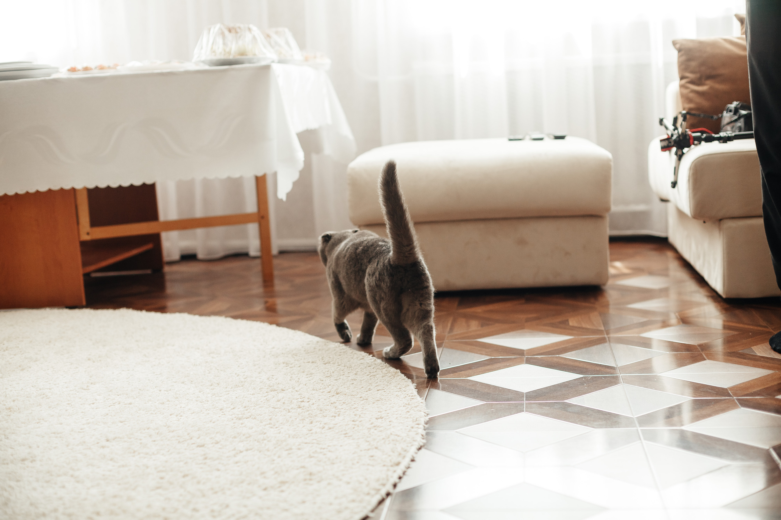 Владислав и Ирина. Алексеева Татьяна свадебный фотограф Краснодар, Краснодарский край