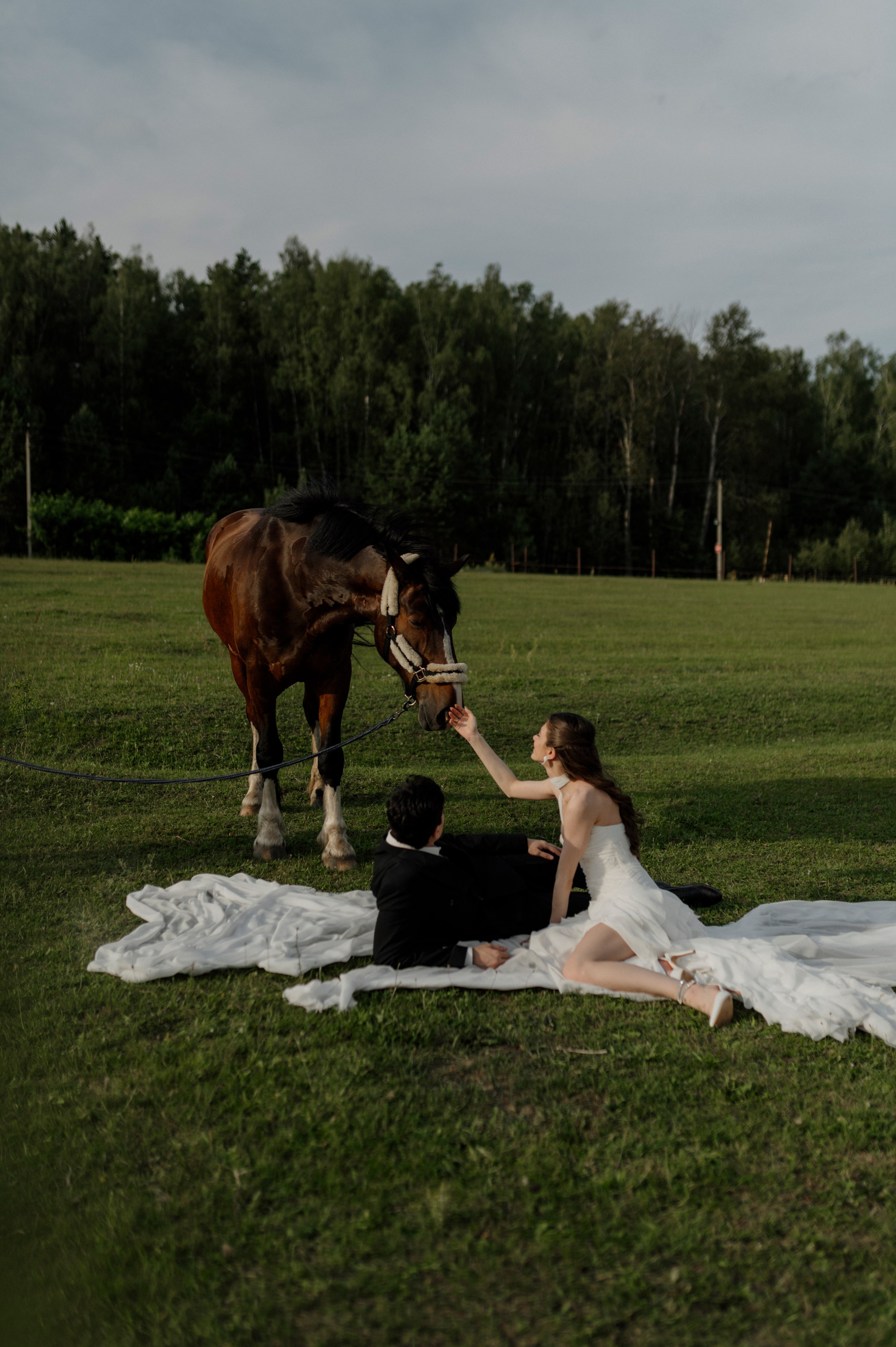 Артур и Таисия. Свадебный и Семейный фотограф в Ярославле Алёна Колясникова