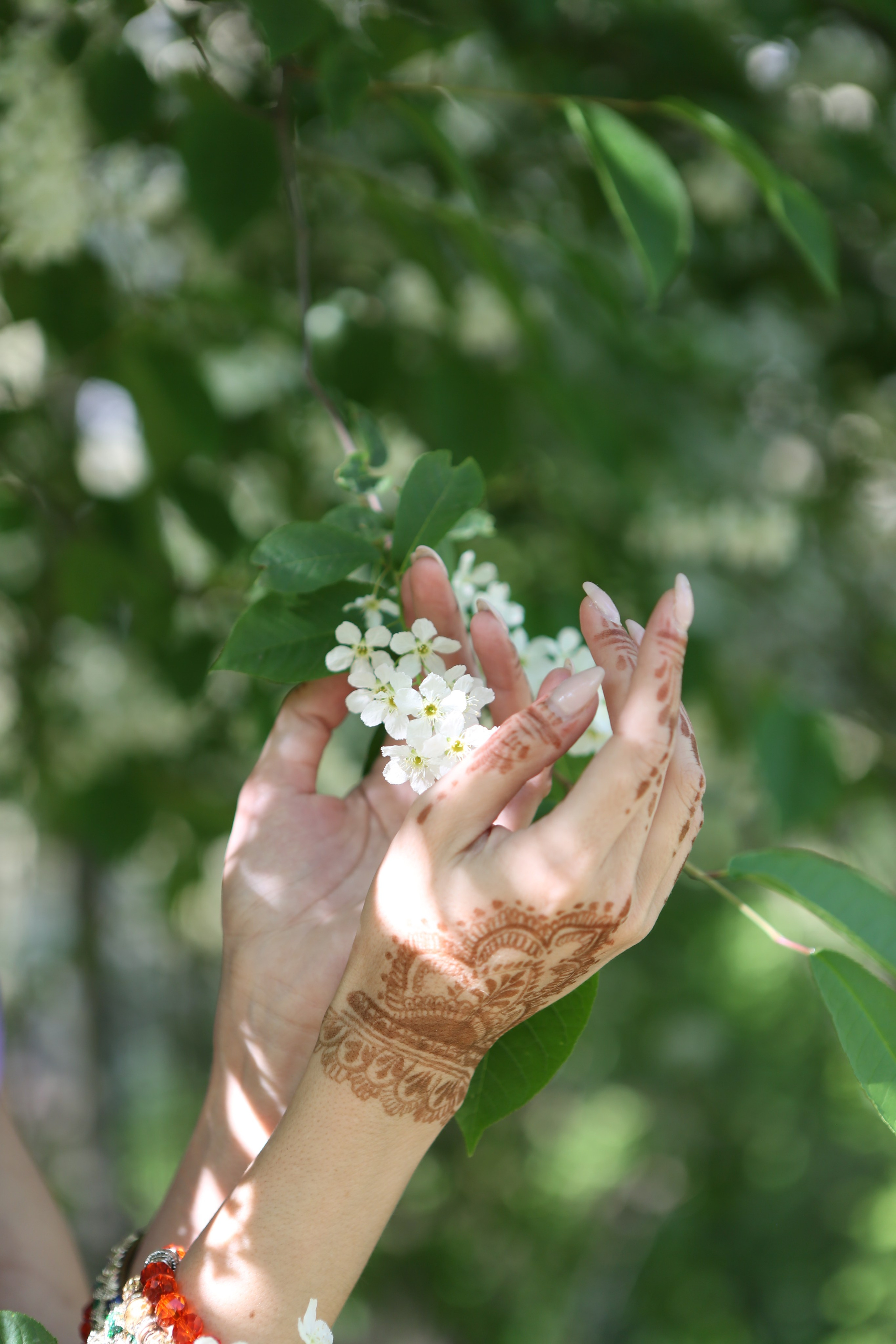 Прогулка в сари. Фотограф в Санкт-Петербурге. Индивидуальная съемка и фотопрогулки