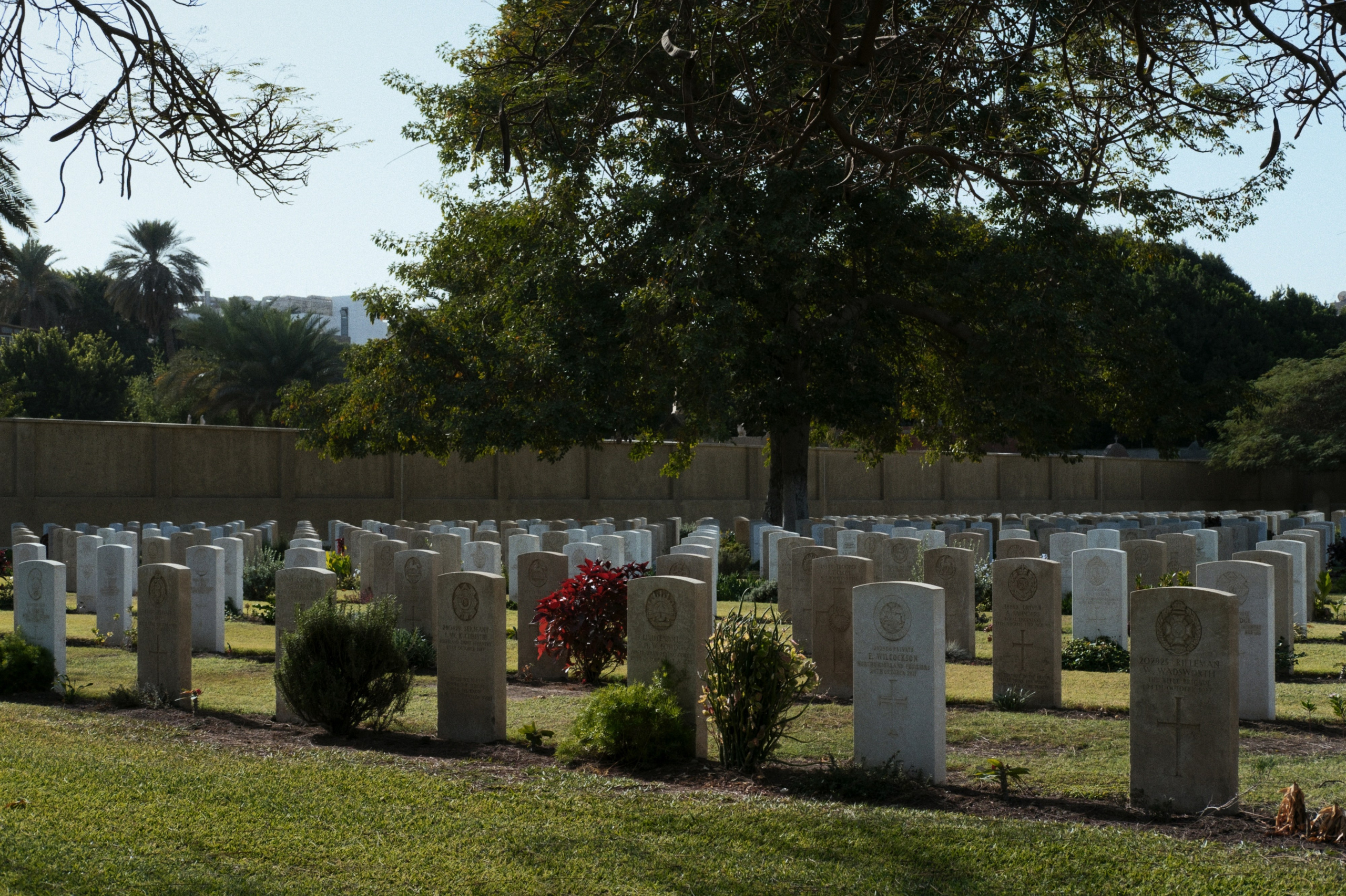 War Memorial Cemetery / Cairo, Egypt AW25. Фотограф Юрин Евгений