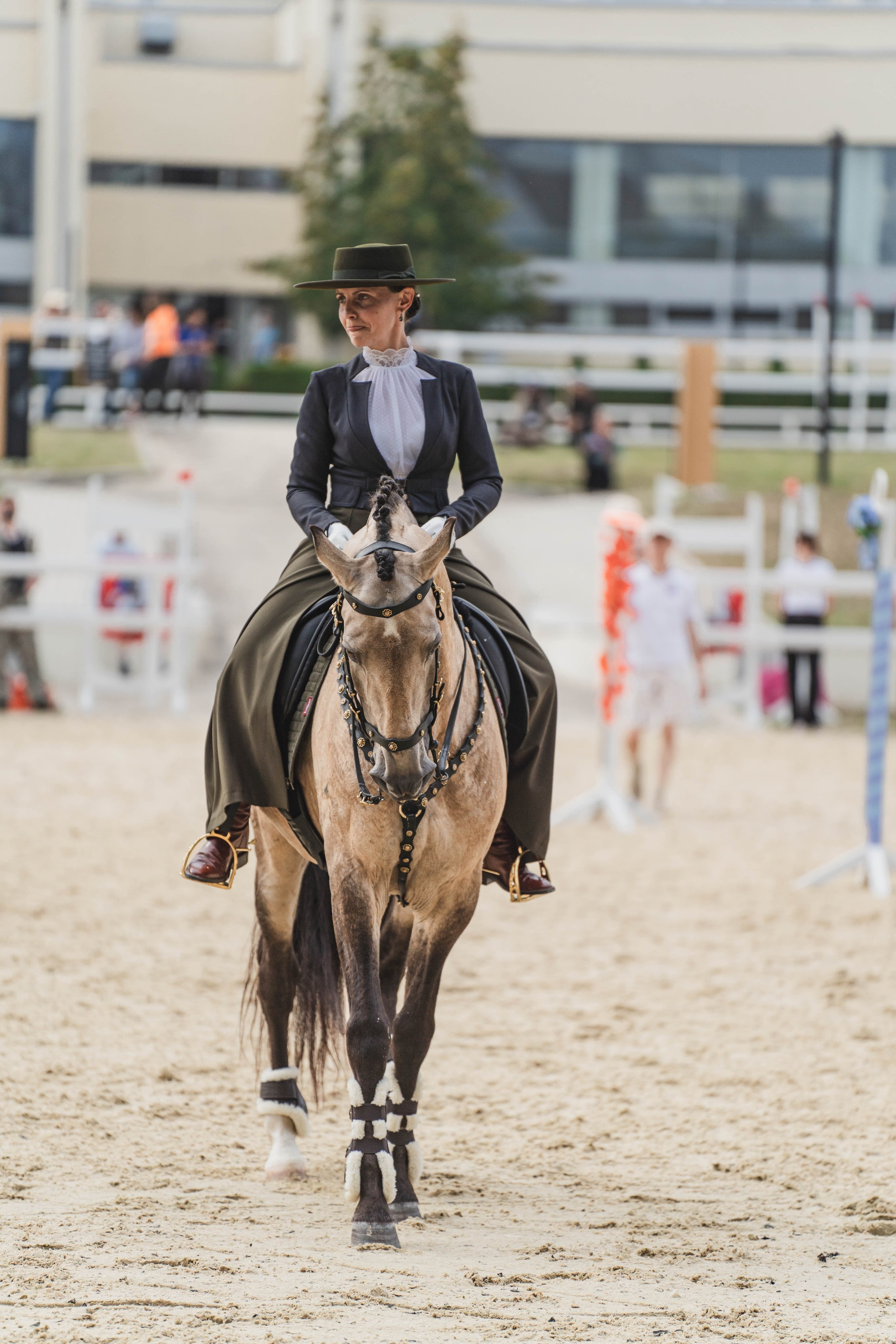 Мастер-класс по рабочей выездке. Фотограф в Москве Ленарская Дарья