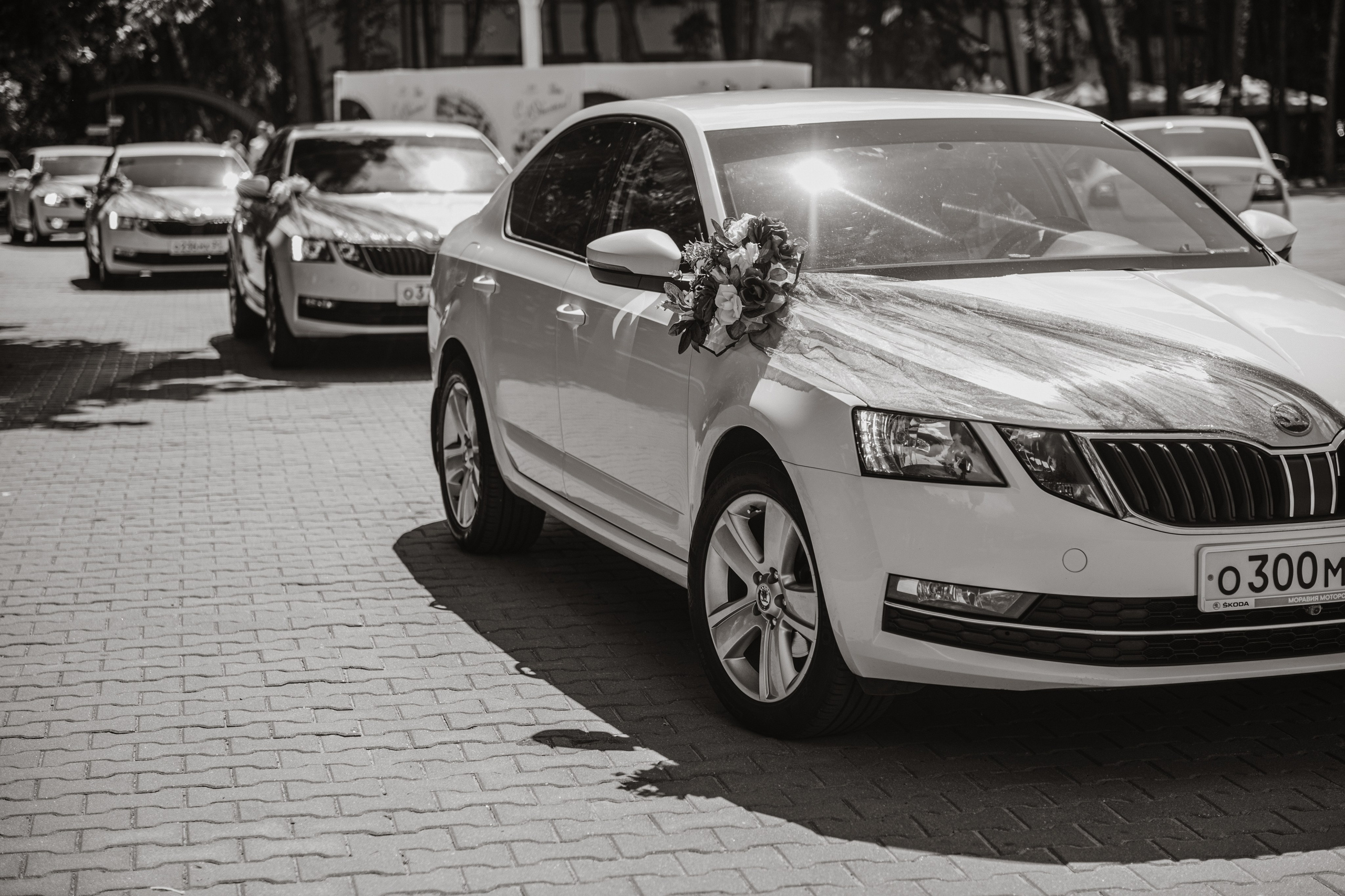 Нелли и Даниил. Свадебный и семейный фотограф Алиса Полякова |Старый Оскол | Воронеж