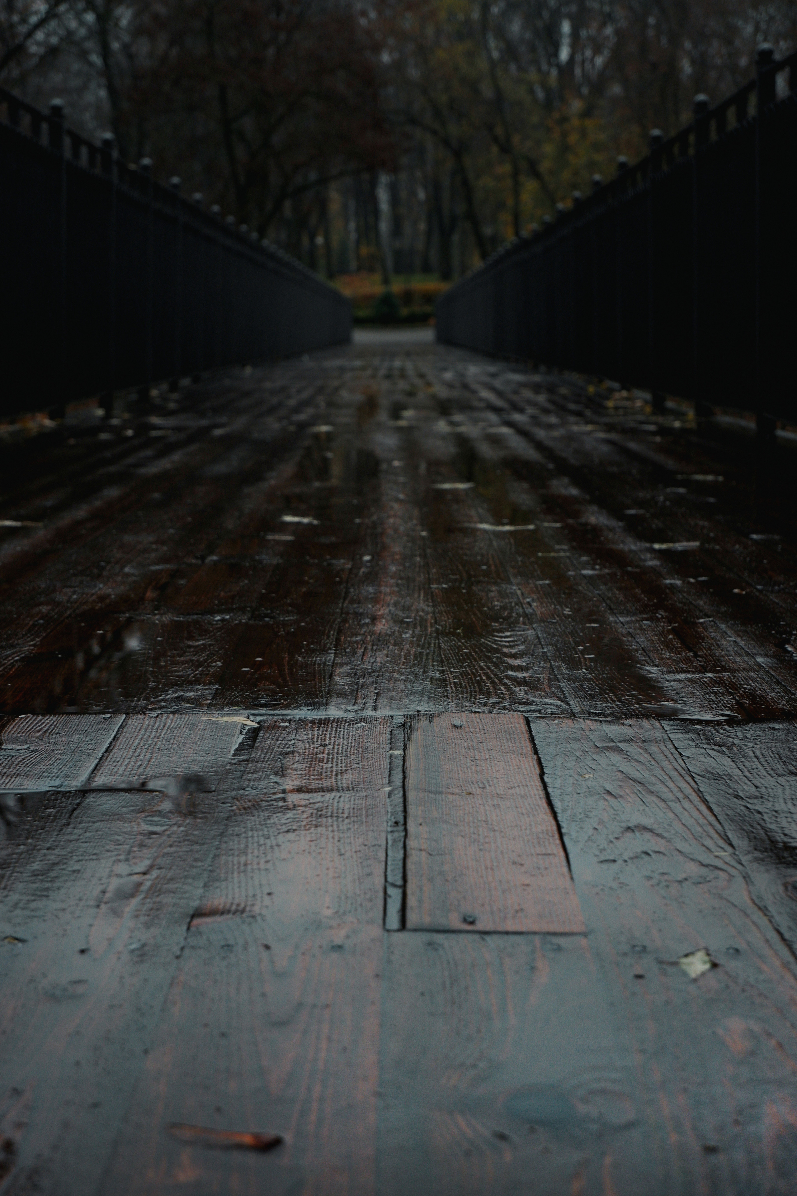 Street photo. Фотограф (photographer) Lischinski Vitaliy