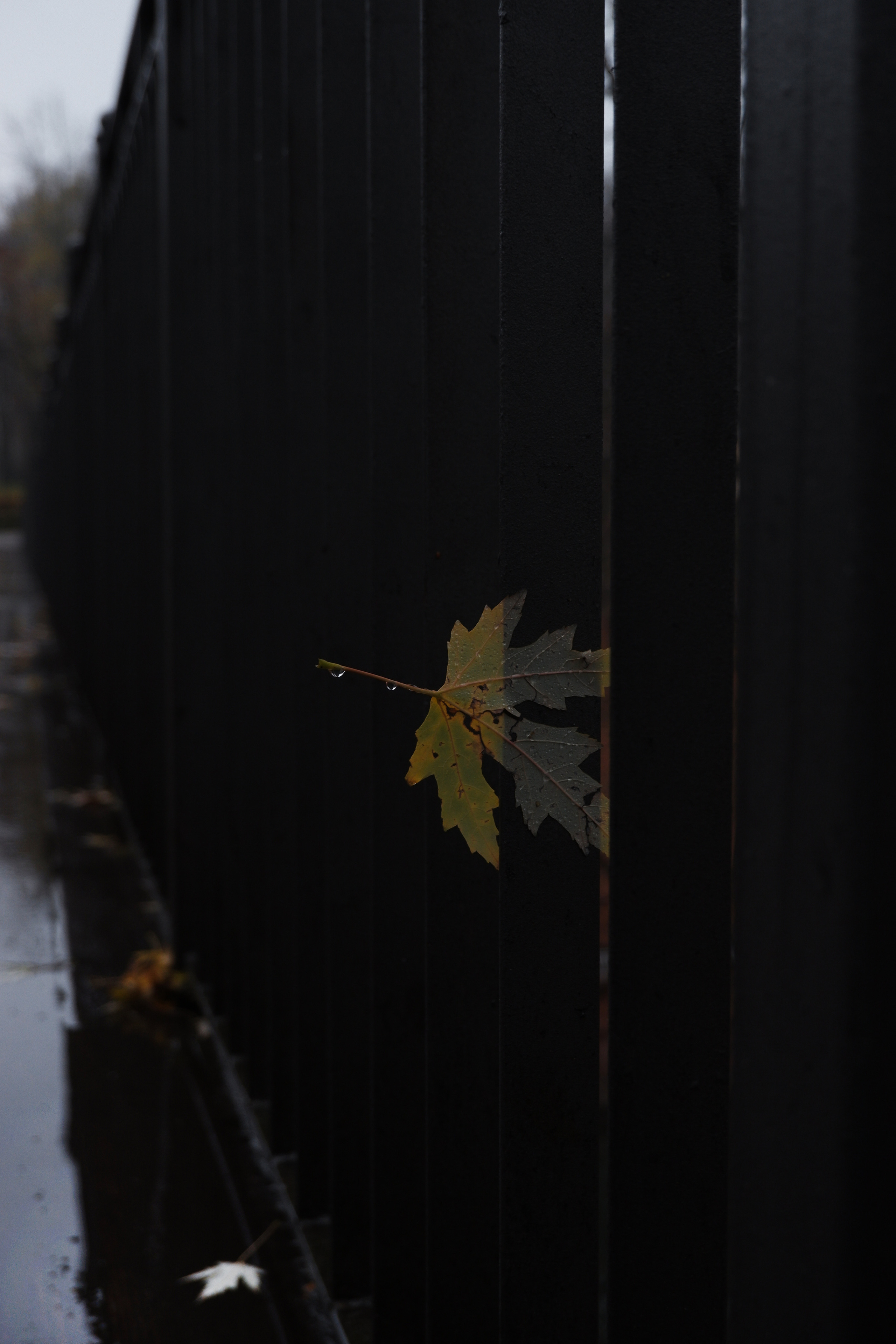 Street photo. Фотограф (photographer) Lischinski Vitaliy