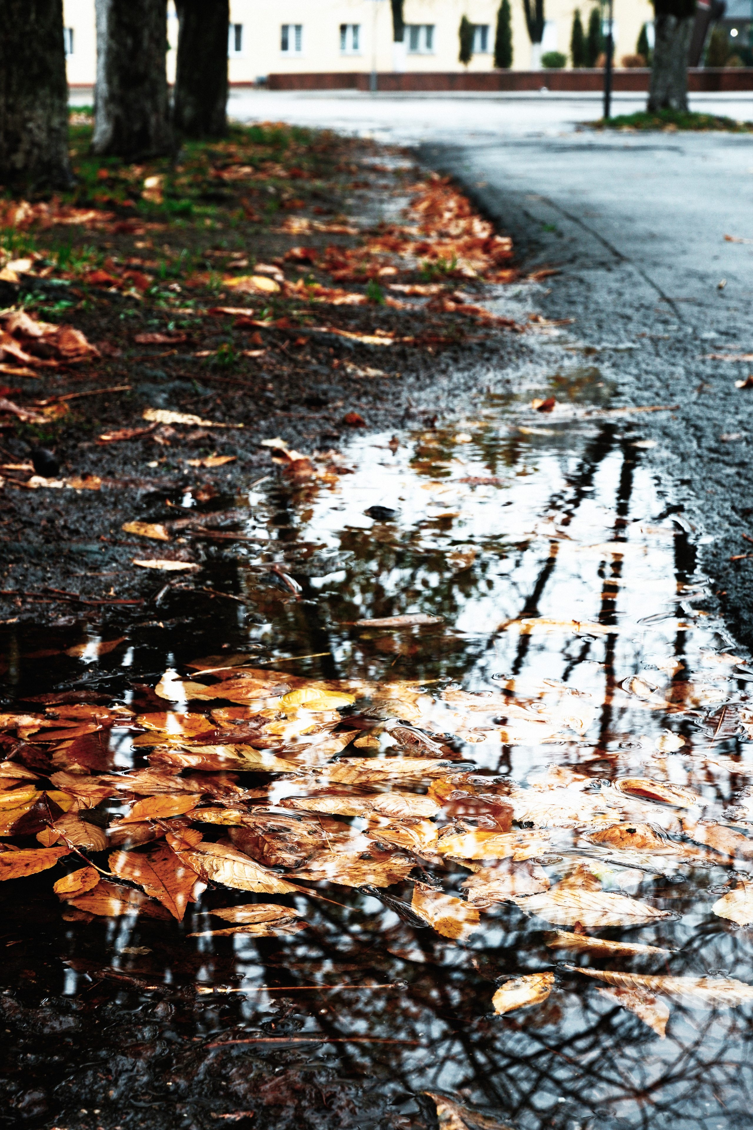Street photo. Фотограф (photographer) Lischinski Vitaliy