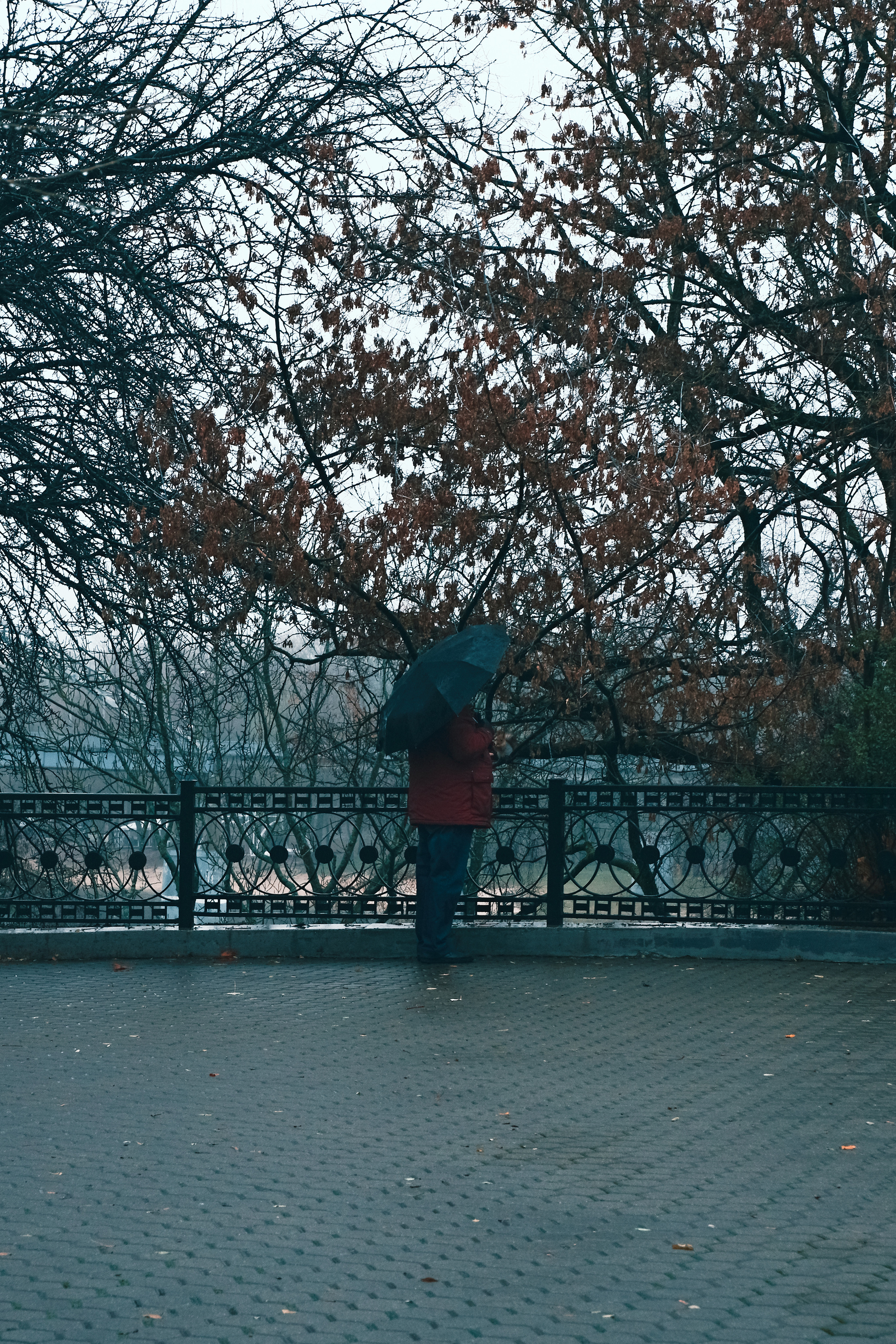 Street photo. Фотограф (photographer) Lischinski Vitaliy