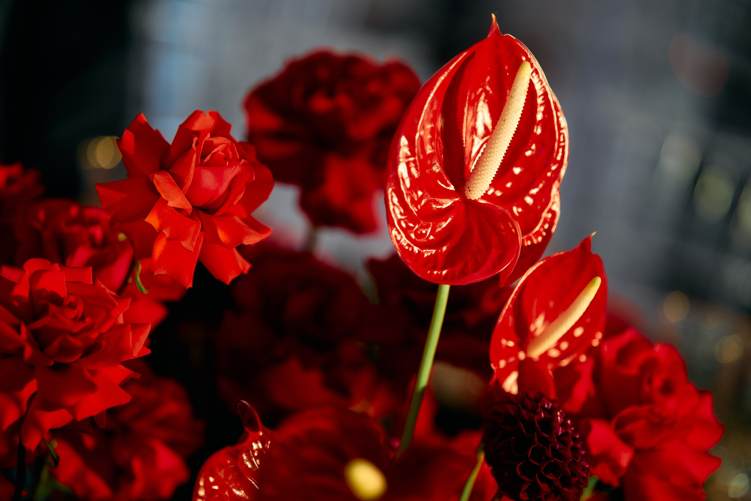 NIVA — день строителя. Свадебный фотограф Минск РБ